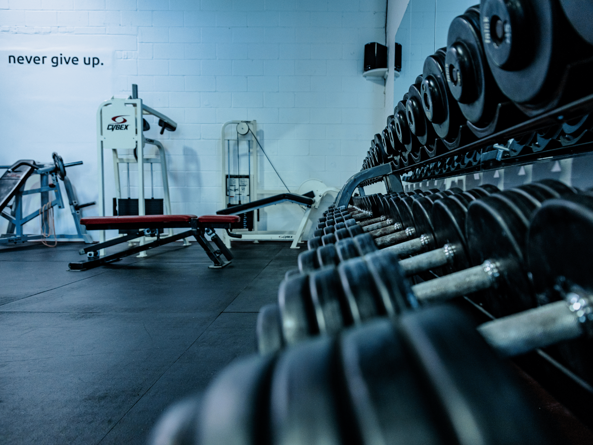 Untitled design (6).png