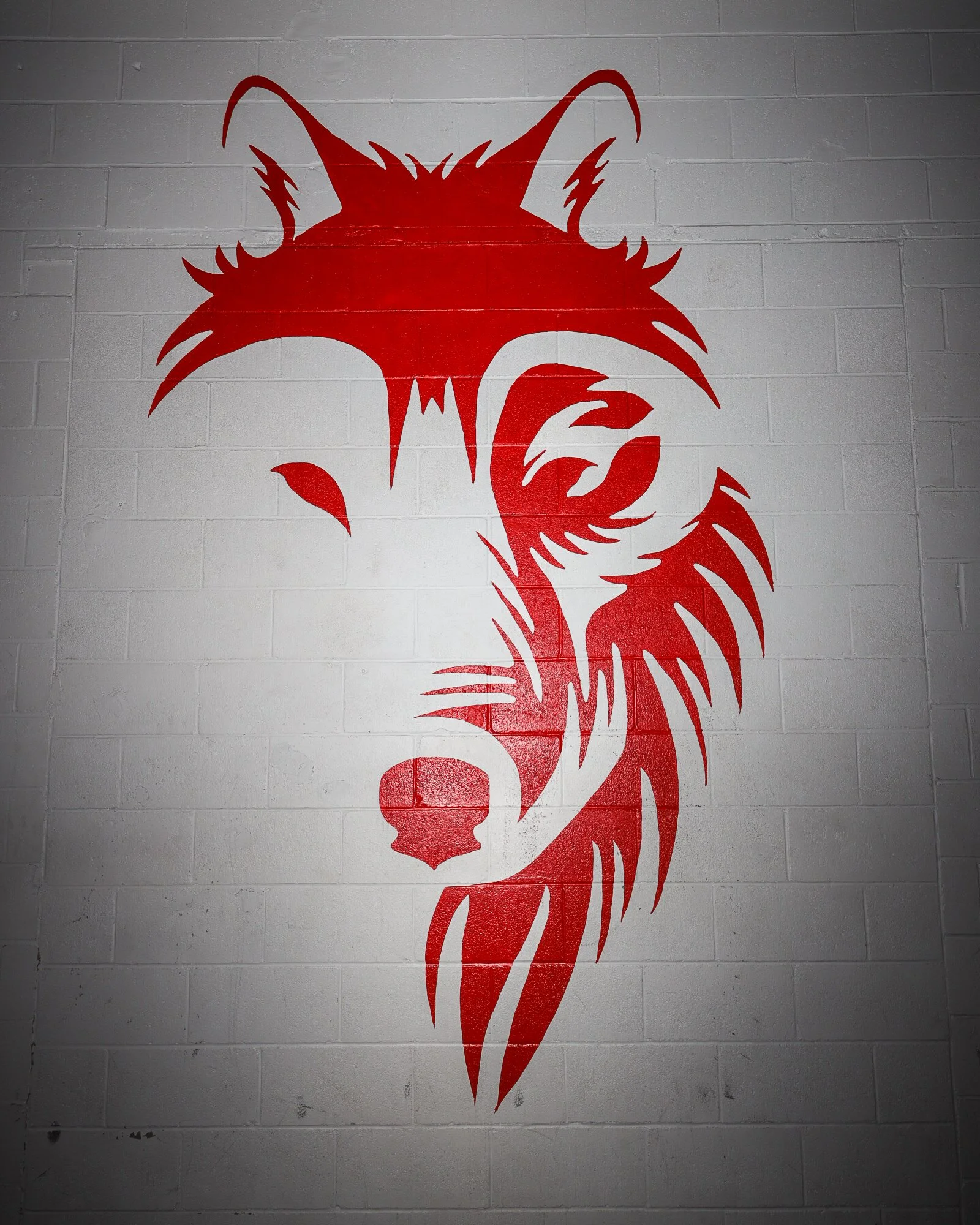 White Wolf commercial fitness photography