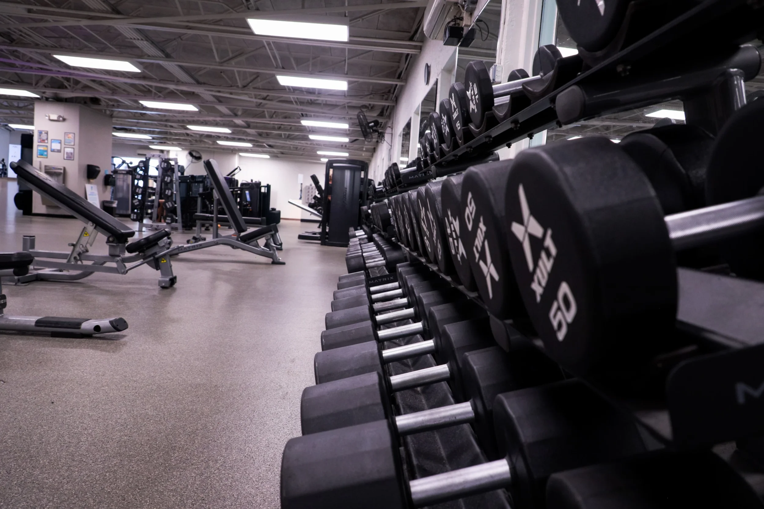 003A2060.jpg.webp