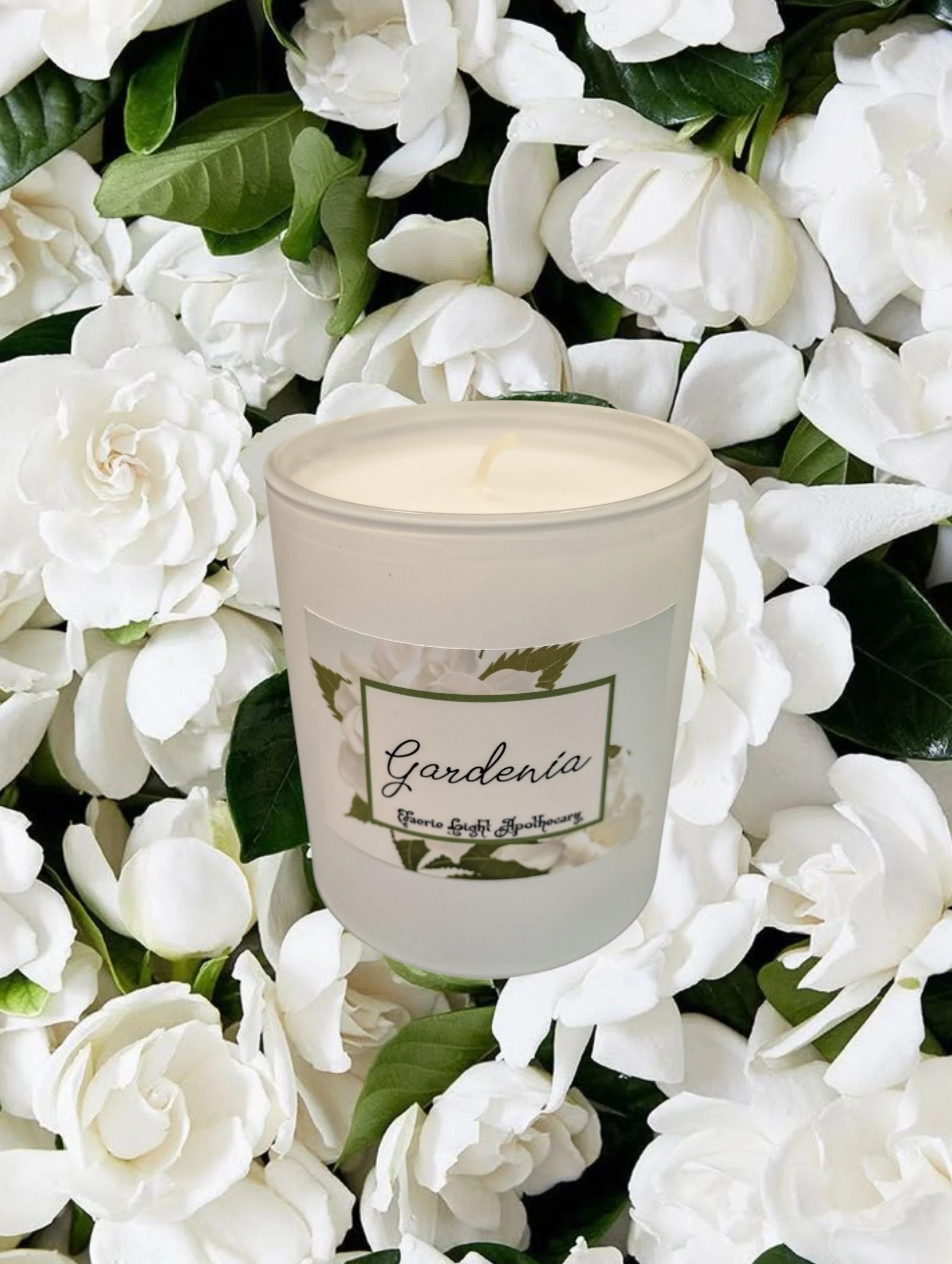 gardenia.jpg