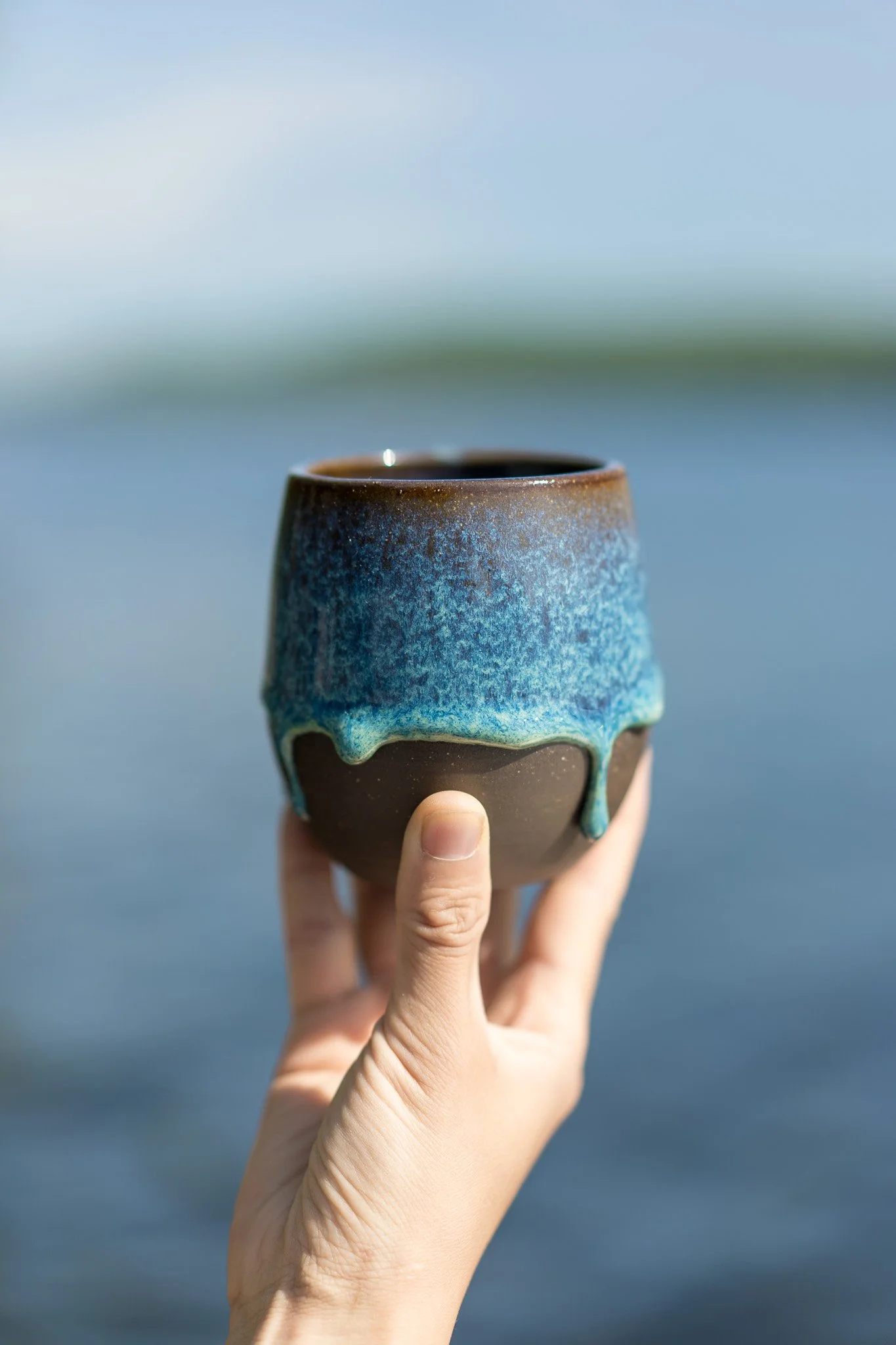 Founding Membership VI