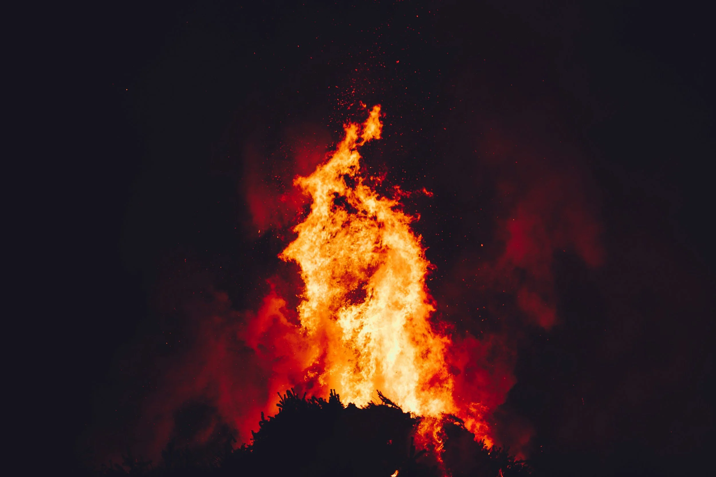 Field Notes on Being Human™: Tender Rage
