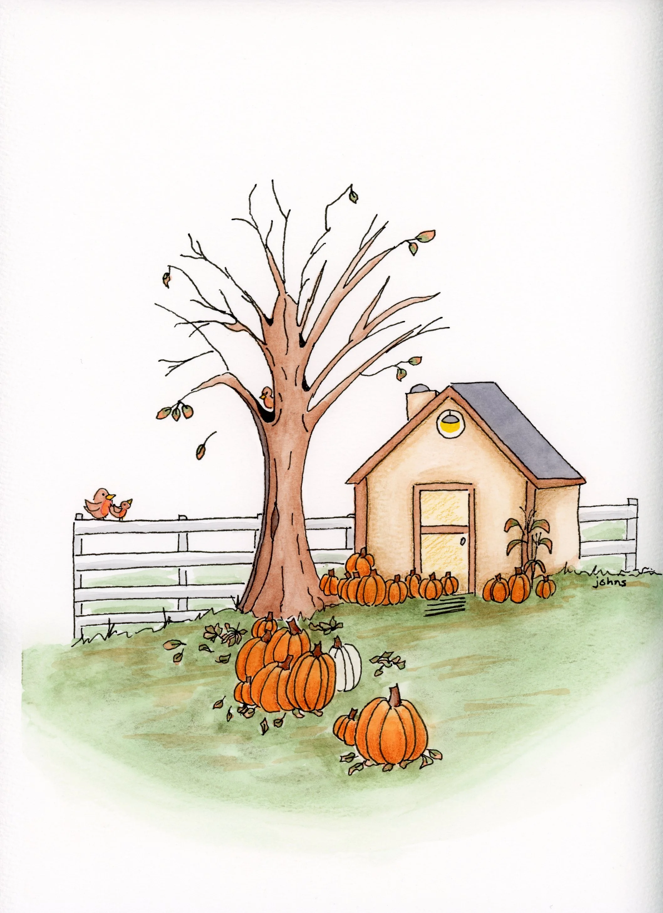 Autumn Pumpkins