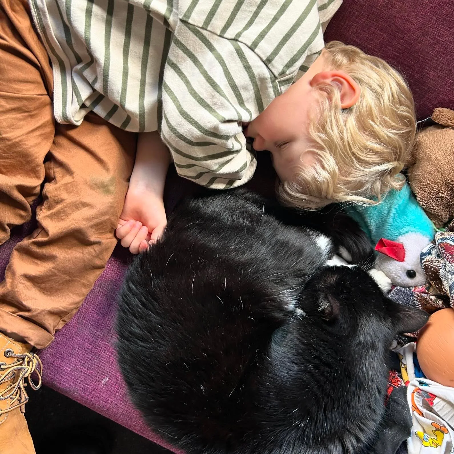 Na schooltijd is hij nog vaak zo moe dat hij tijdens het spelen in slaap valt ❤️