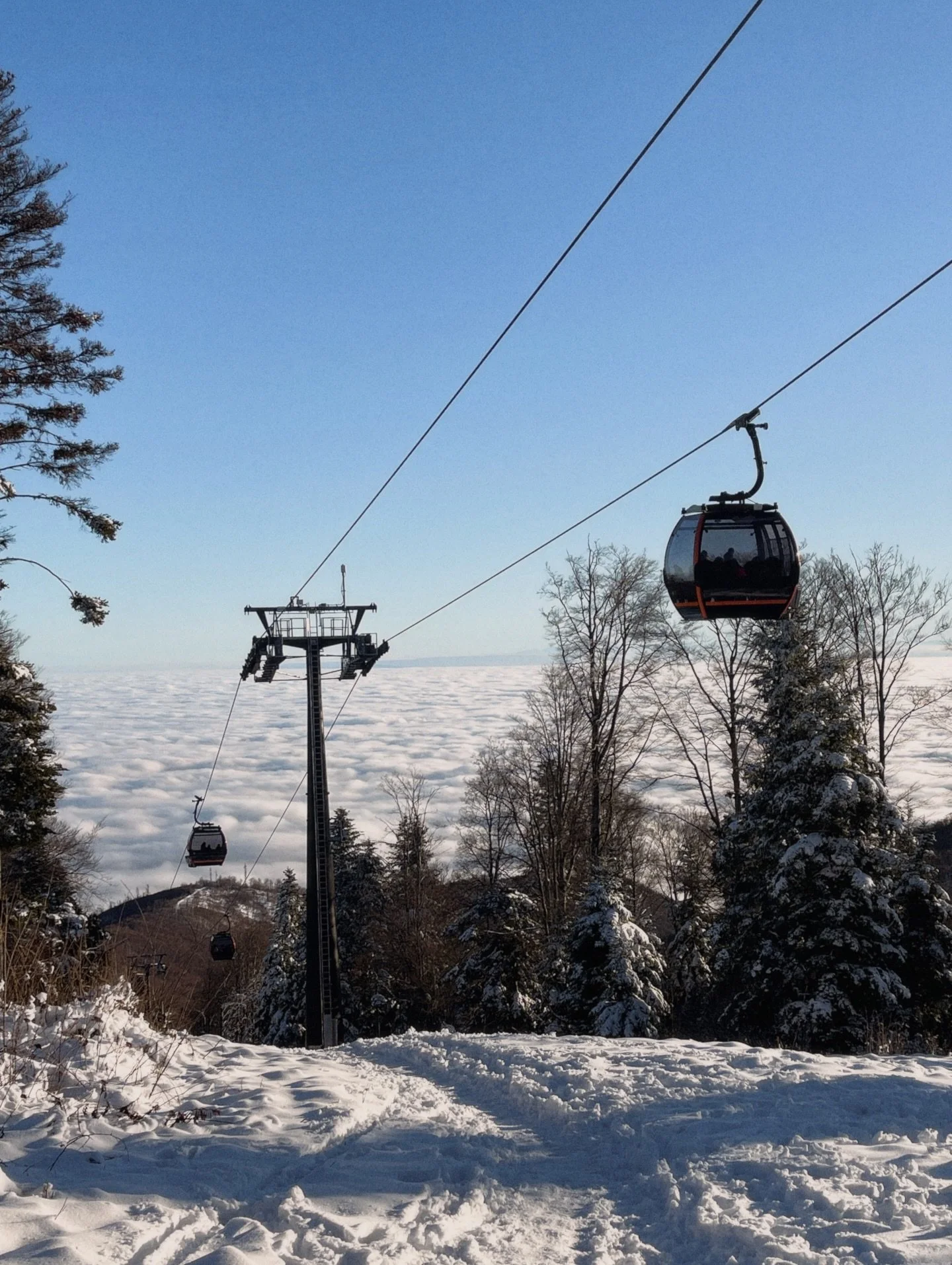 2026 is off to a snowy start here in Zagreb ❄️