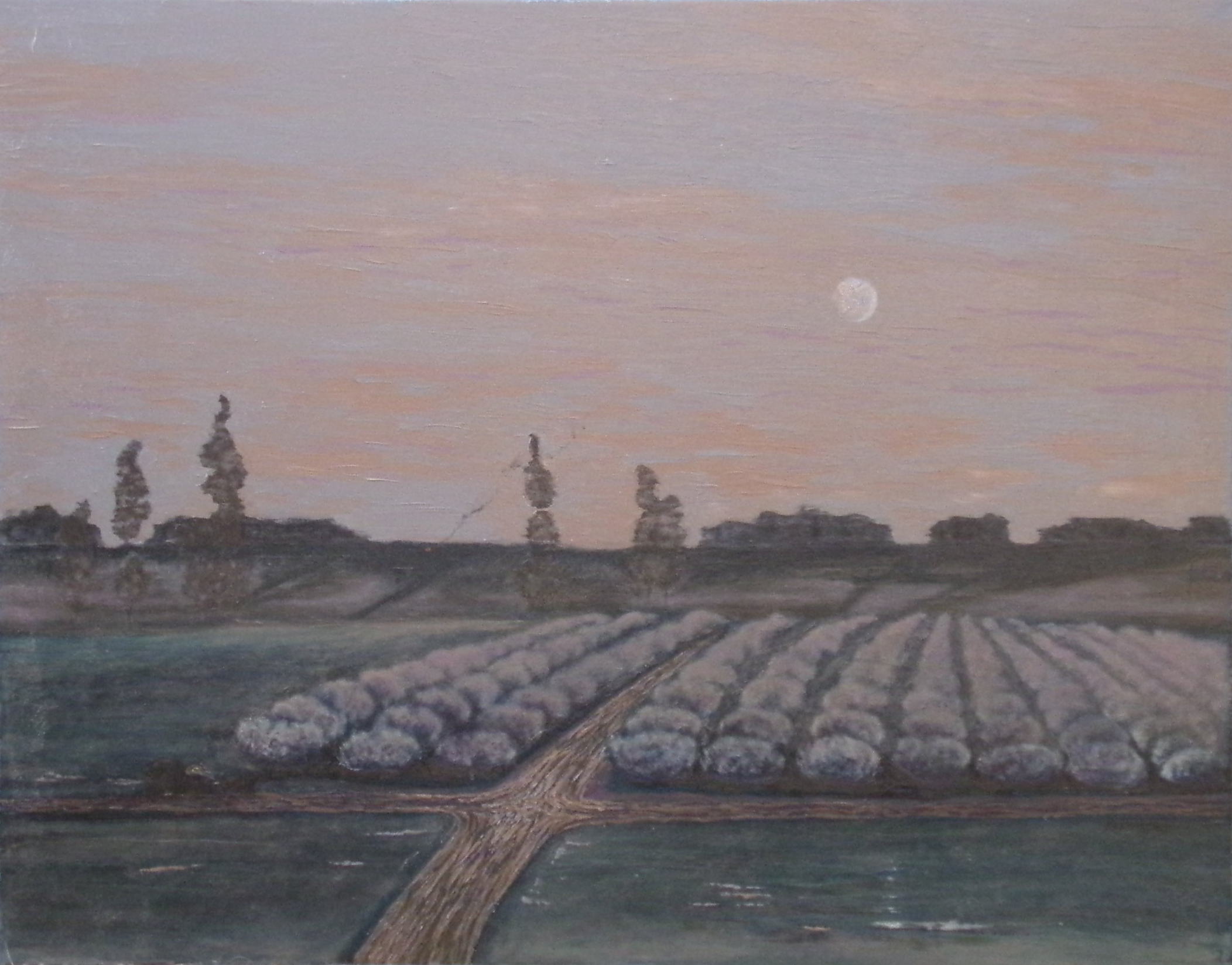 Cherry Tree Orchards