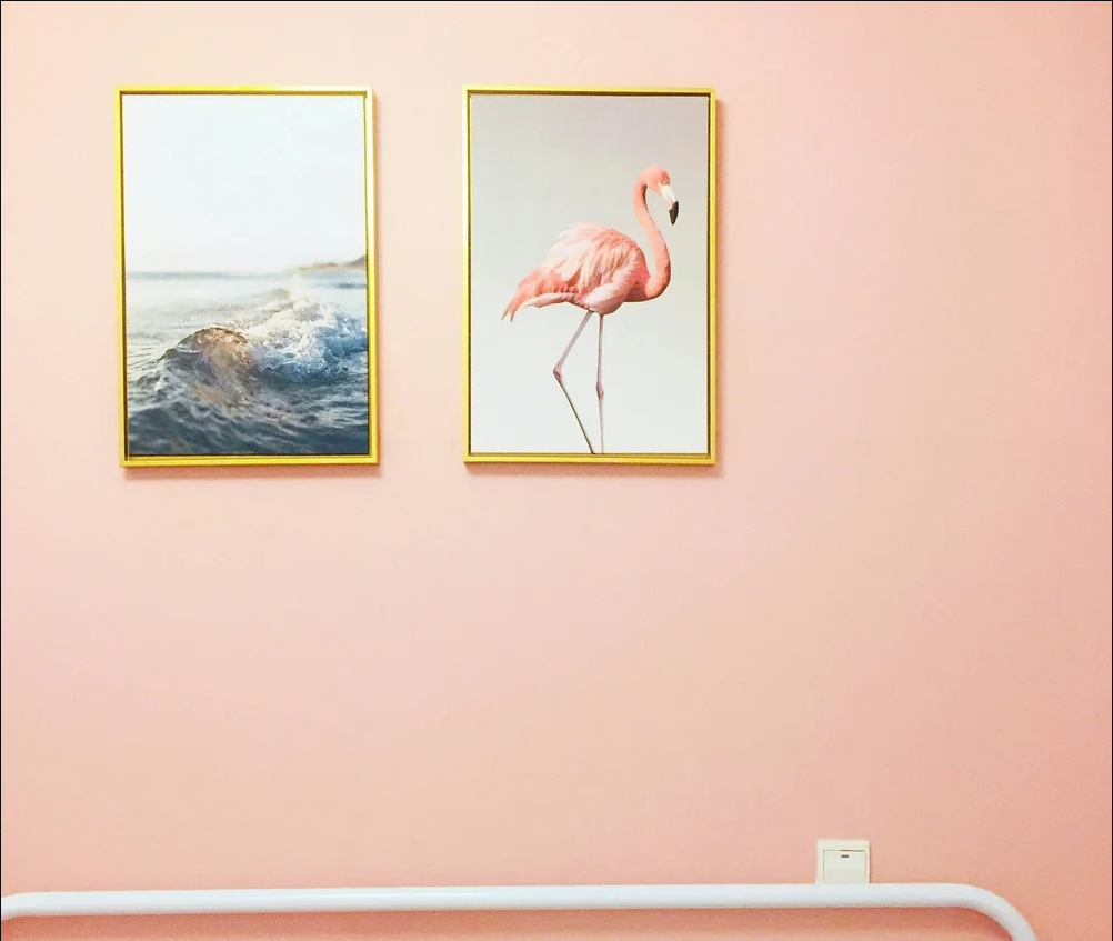 Pink Wall Art for Grown-Ups: Elegant, Moody, and Bold Styles