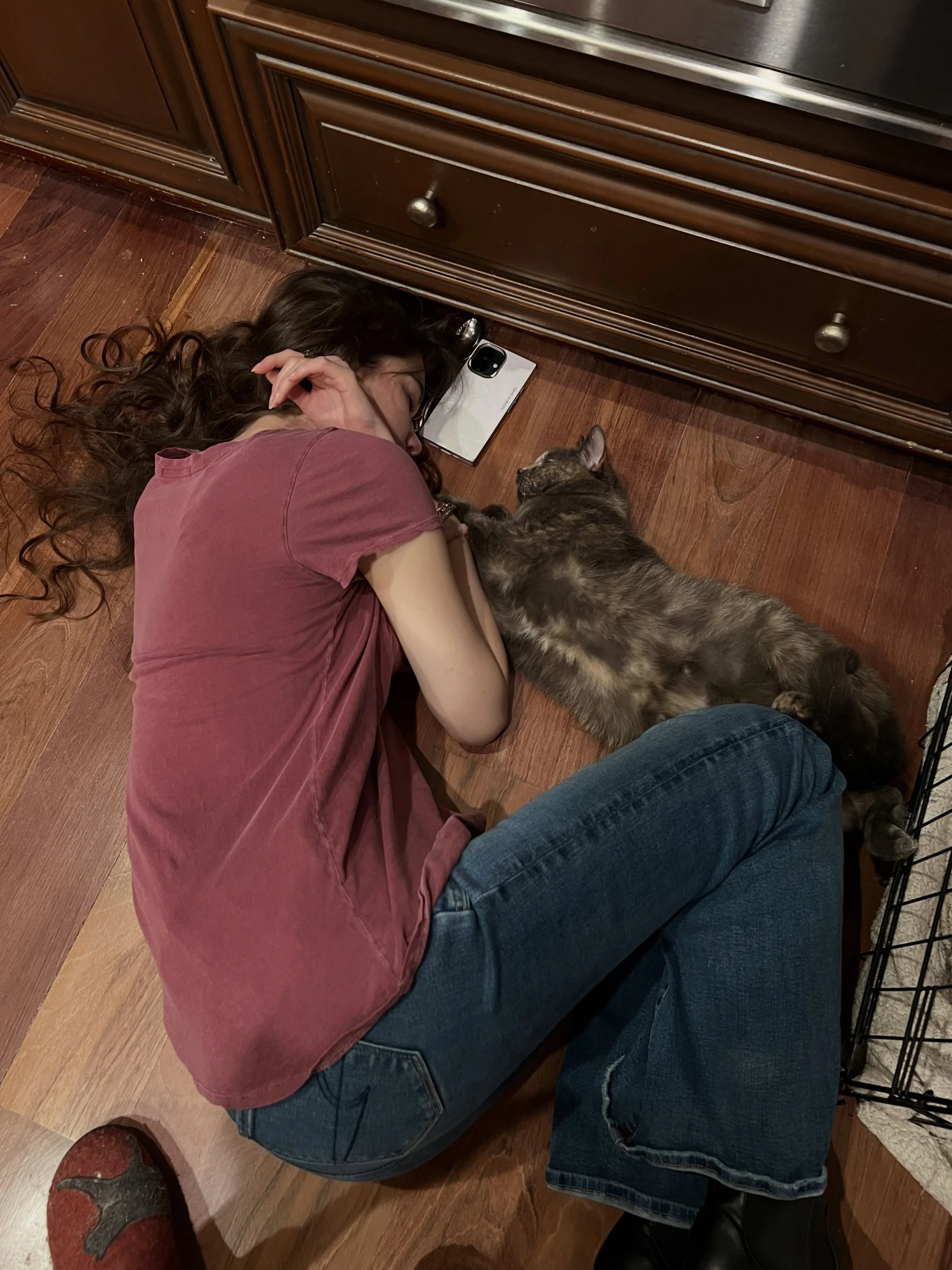 At the 6 month mark. A collection of moments seen and unseen. 🐱✨🍸