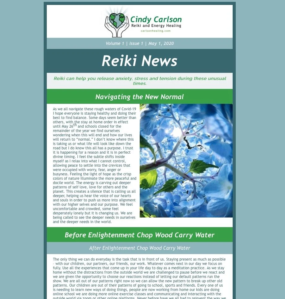 Example of an Email Newsletter for Cindy Carlson