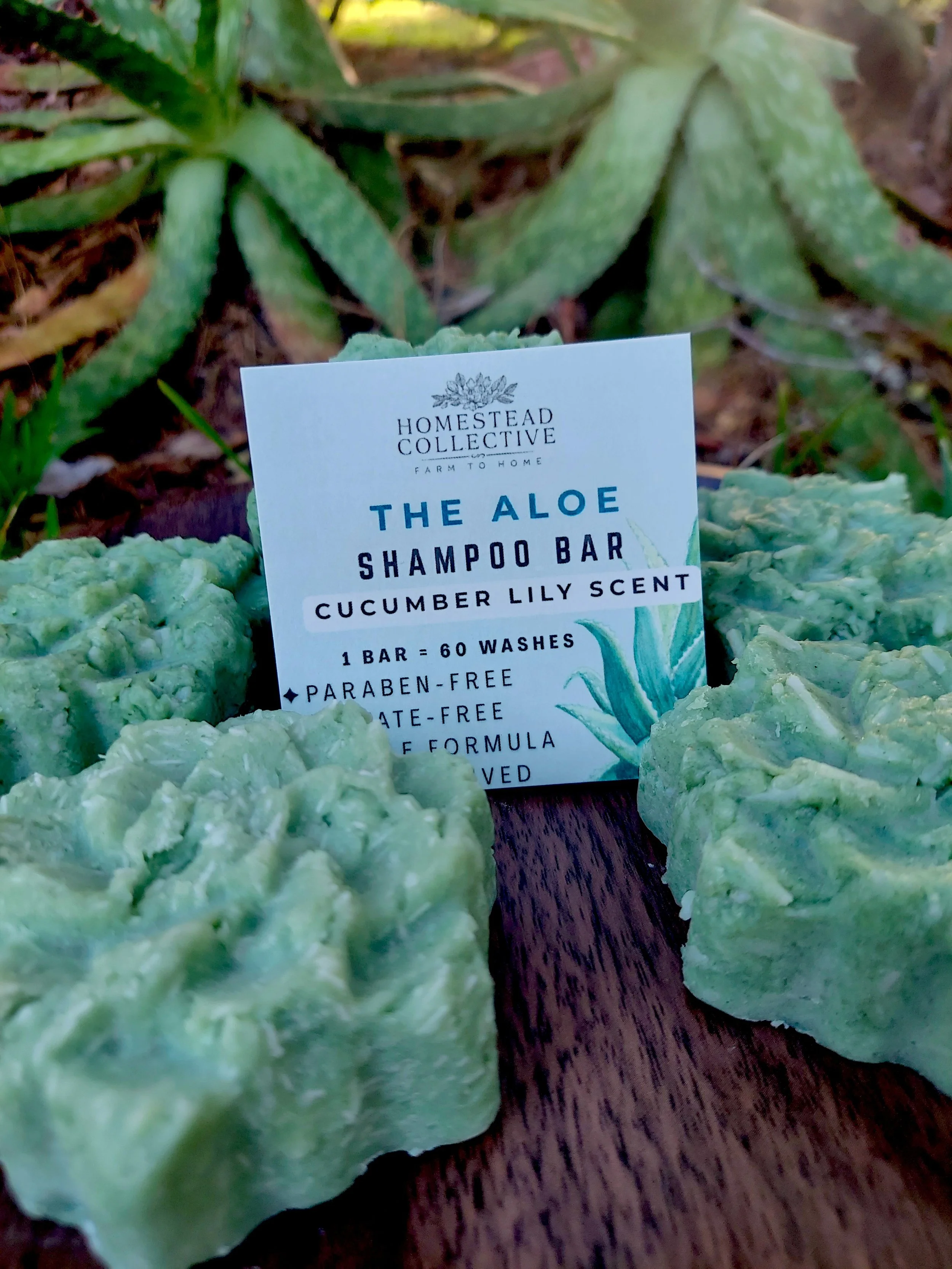 The Aloe Shampoo Bar Cucumber + Lily Scent