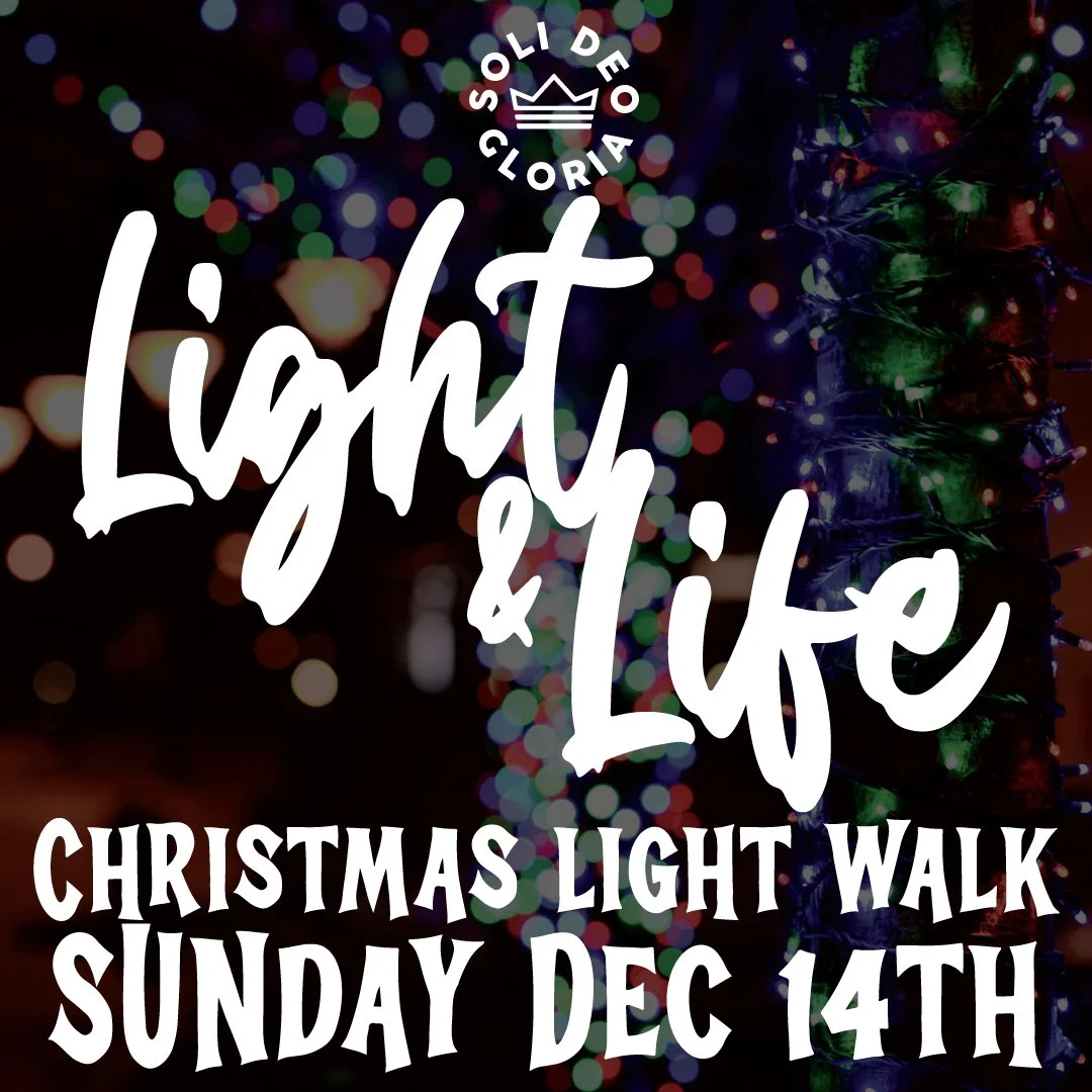 Light &amp; Life Christmas Light Walk