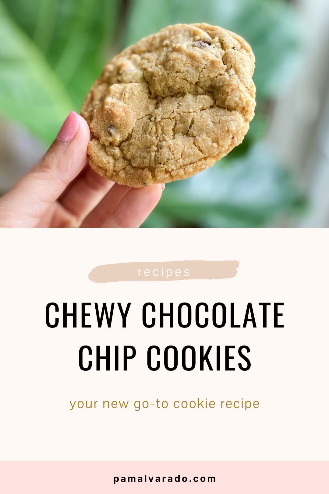 Chewy Chocolate Chip Cookies
