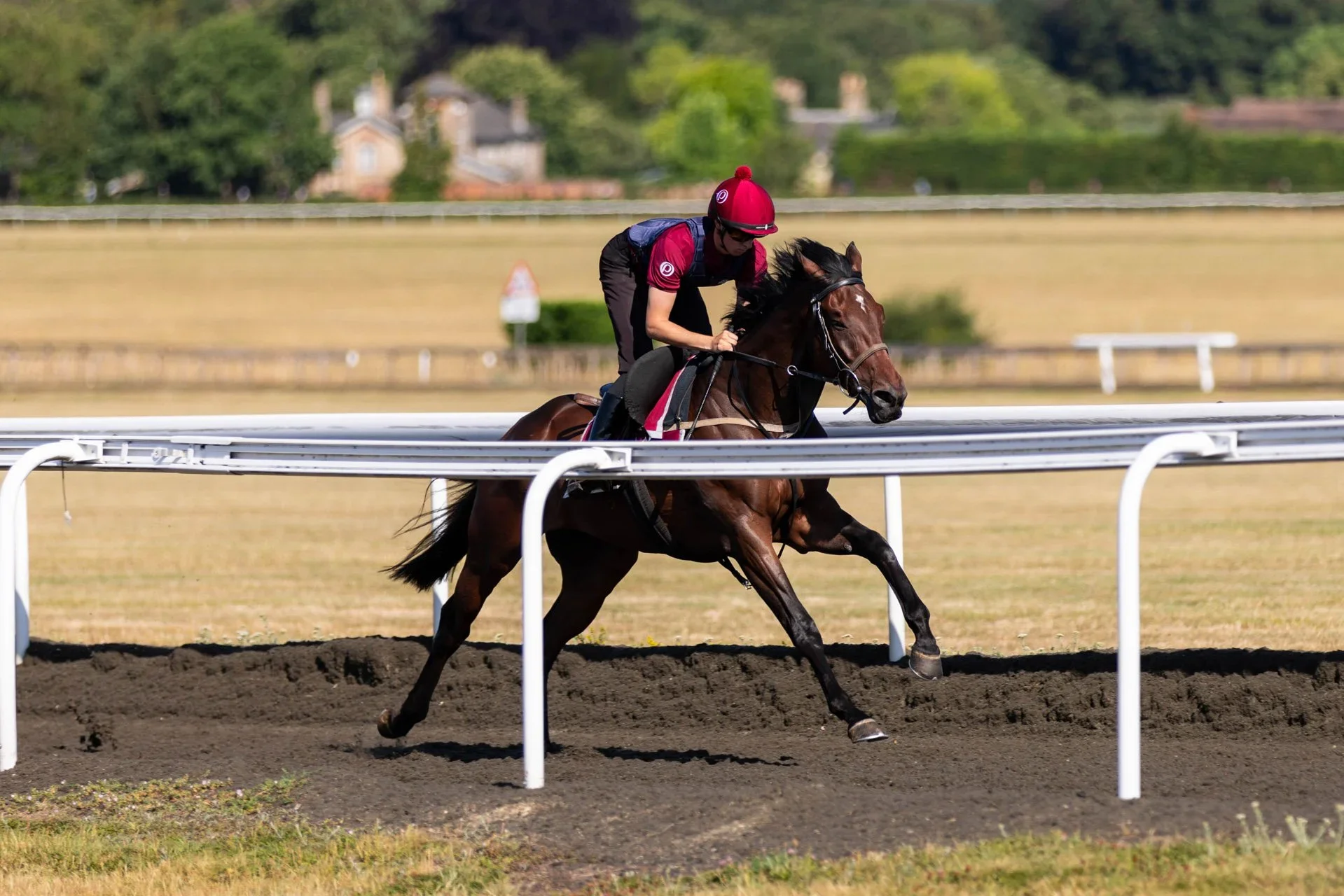 How Much Does It Cost to Own a Racehorse in the UK?