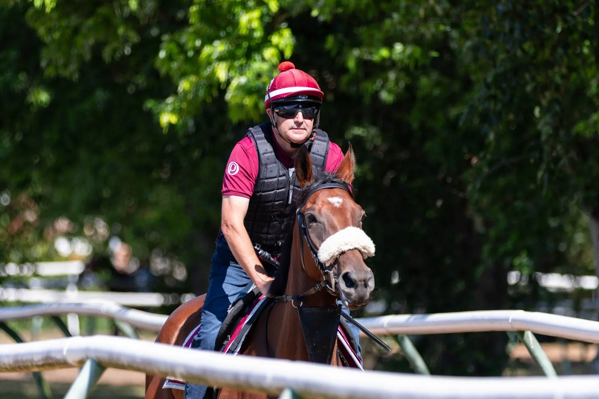 Your First Racehorse: A Beginner’s Guide to Racehorse Ownership