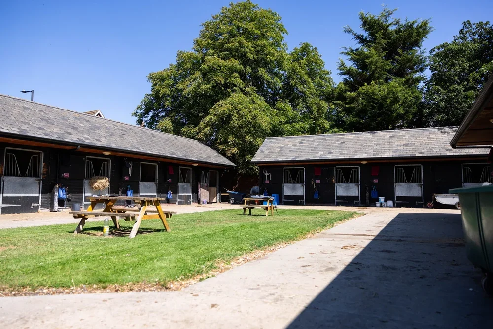 Racing Club, Syndicate, Partnership or Sole Ownership: Which Is Right for You?