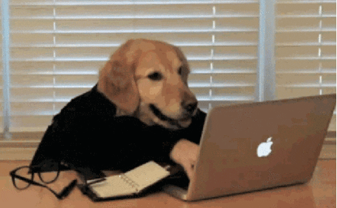 A dog with a black shirt sitting at a table, using a silver MacBook laptop.