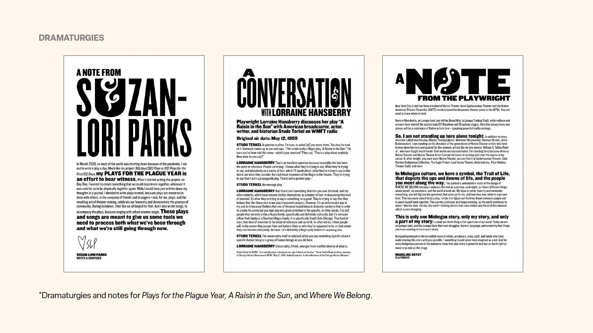 The Public_Presentation_v2_dramaturg.jpg