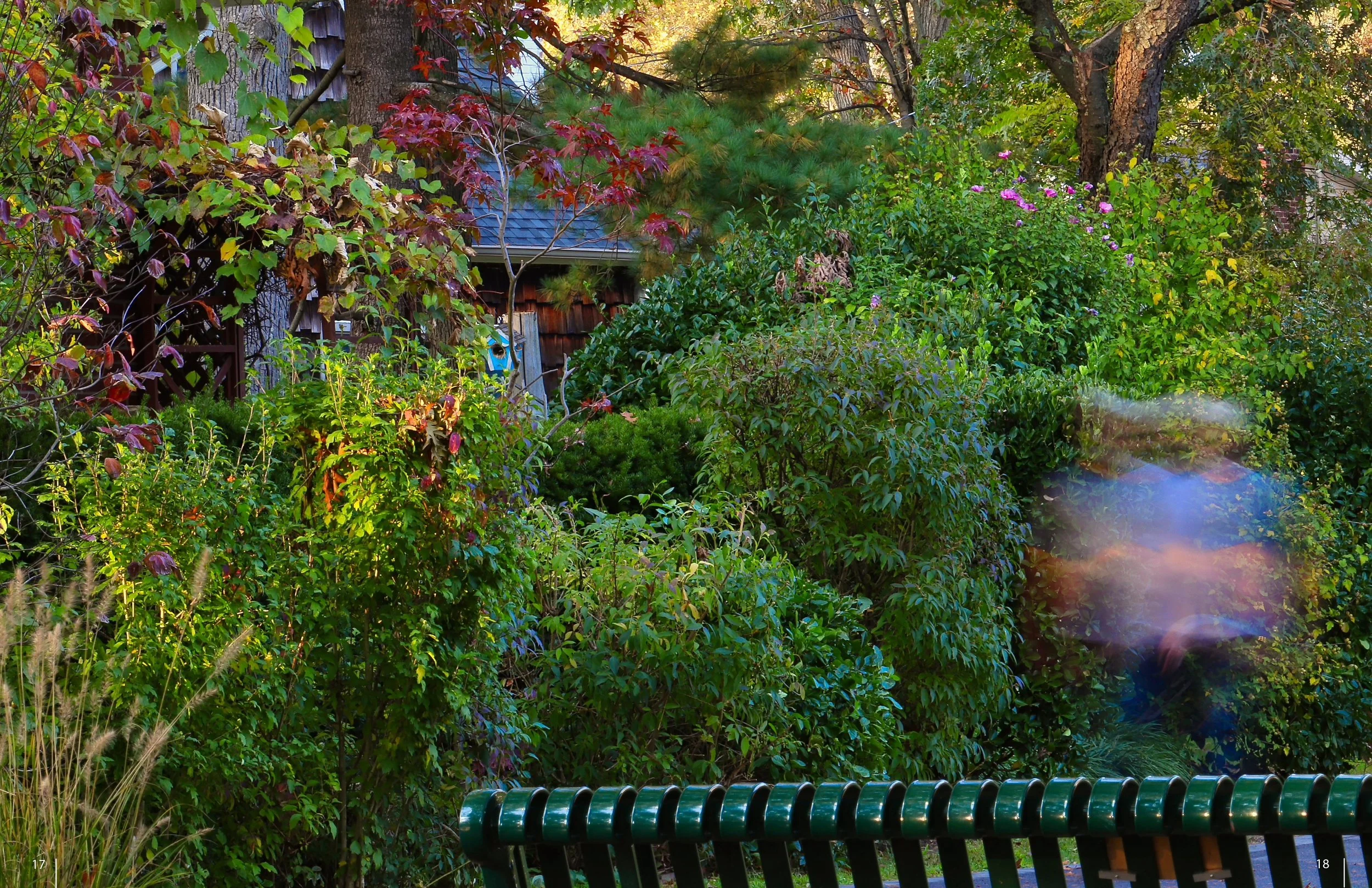 Butch Fairy Zine Final_10-25-202513.jpg