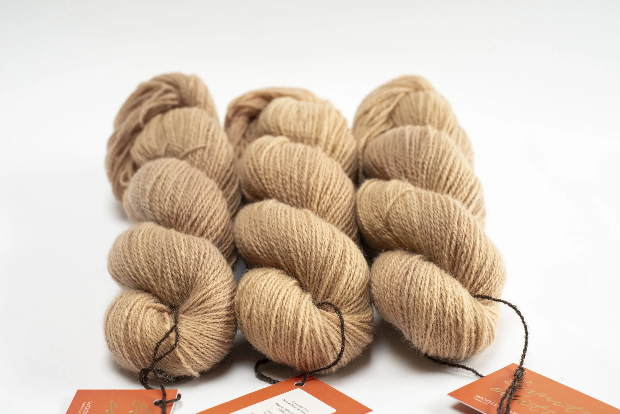 WMFC_APR update-39.jpg