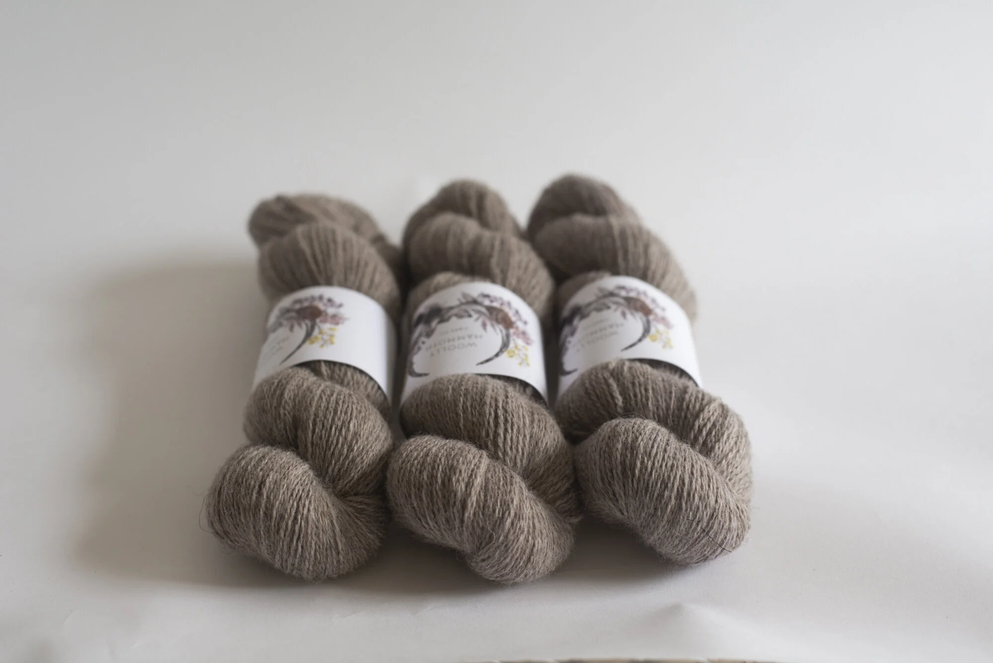 ShopUpdateAPR_WMFC_EmmaStewartPhotography-9886.jpg