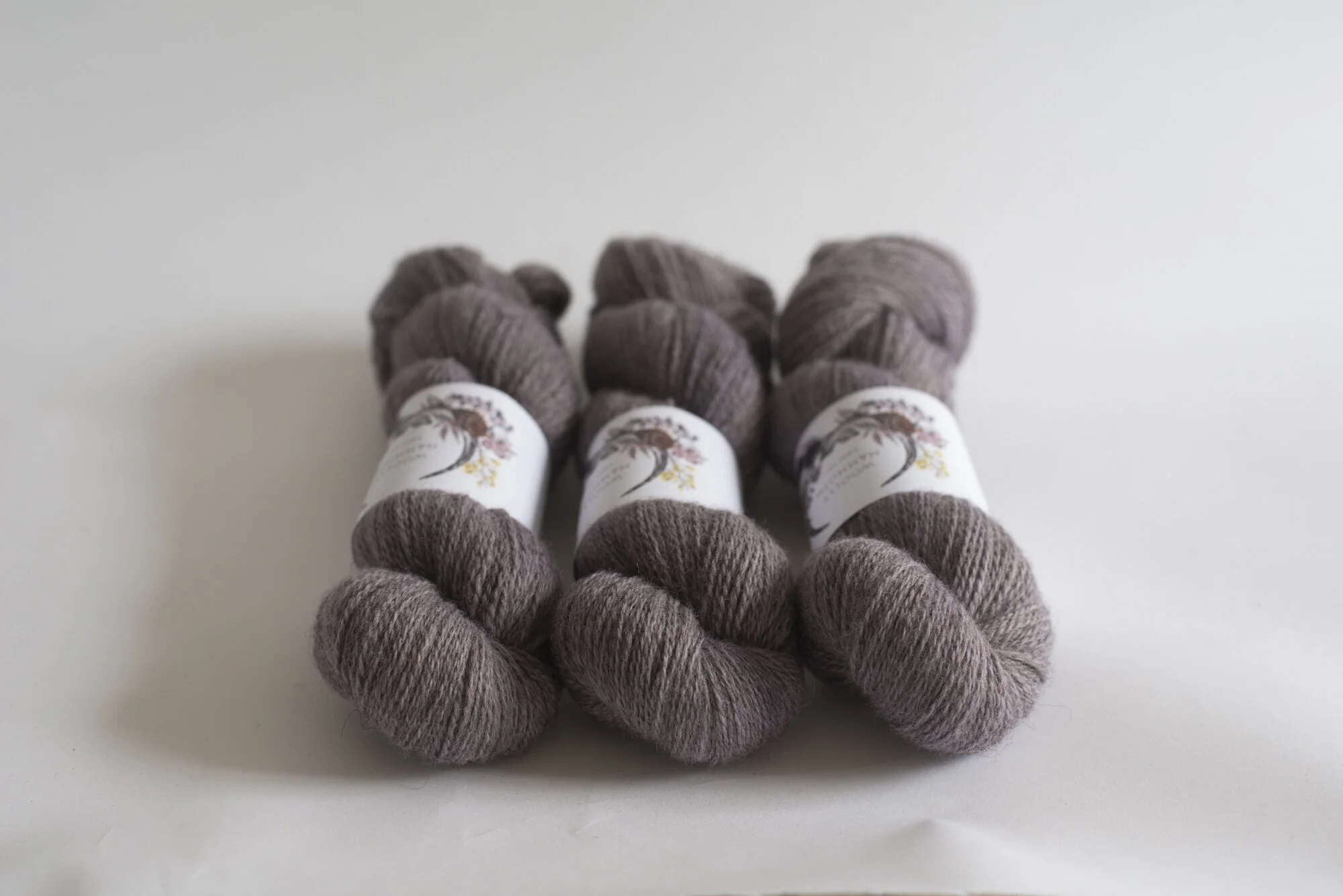ShopUpdateAPR_WMFC_EmmaStewartPhotography-9893.jpg