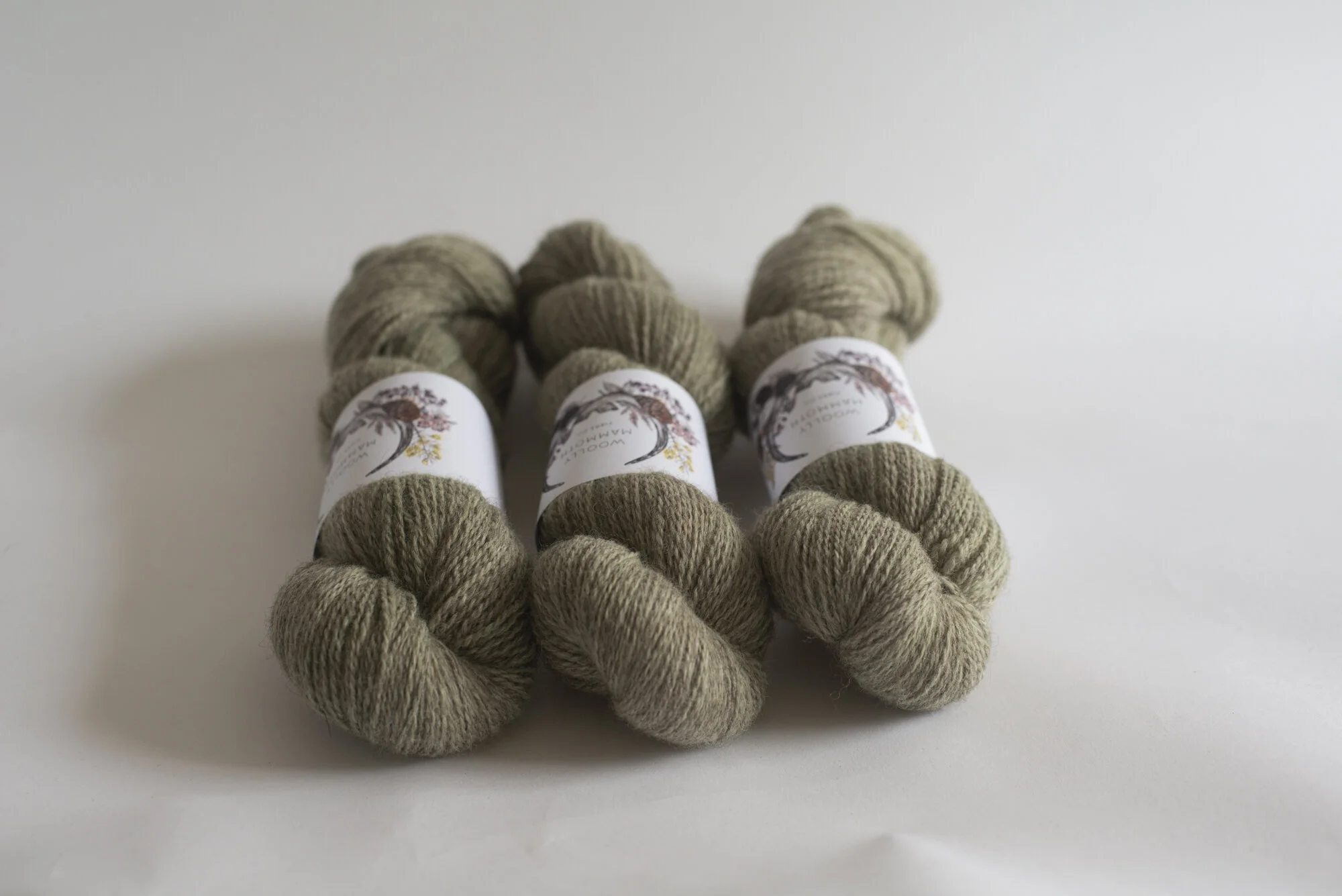 ShopUpdateAPR_WMFC_EmmaStewartPhotography-9883.jpg