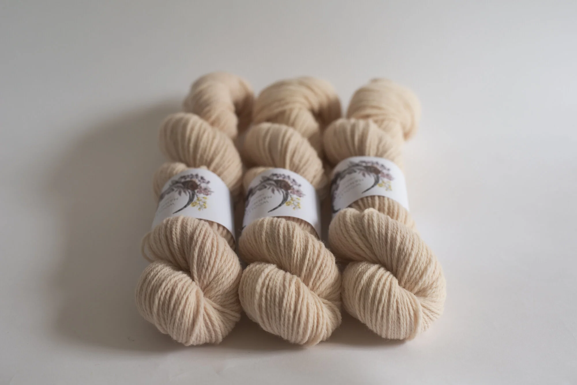 ShopUpdateAPR_WMFC_EmmaStewartPhotography-9834.jpg