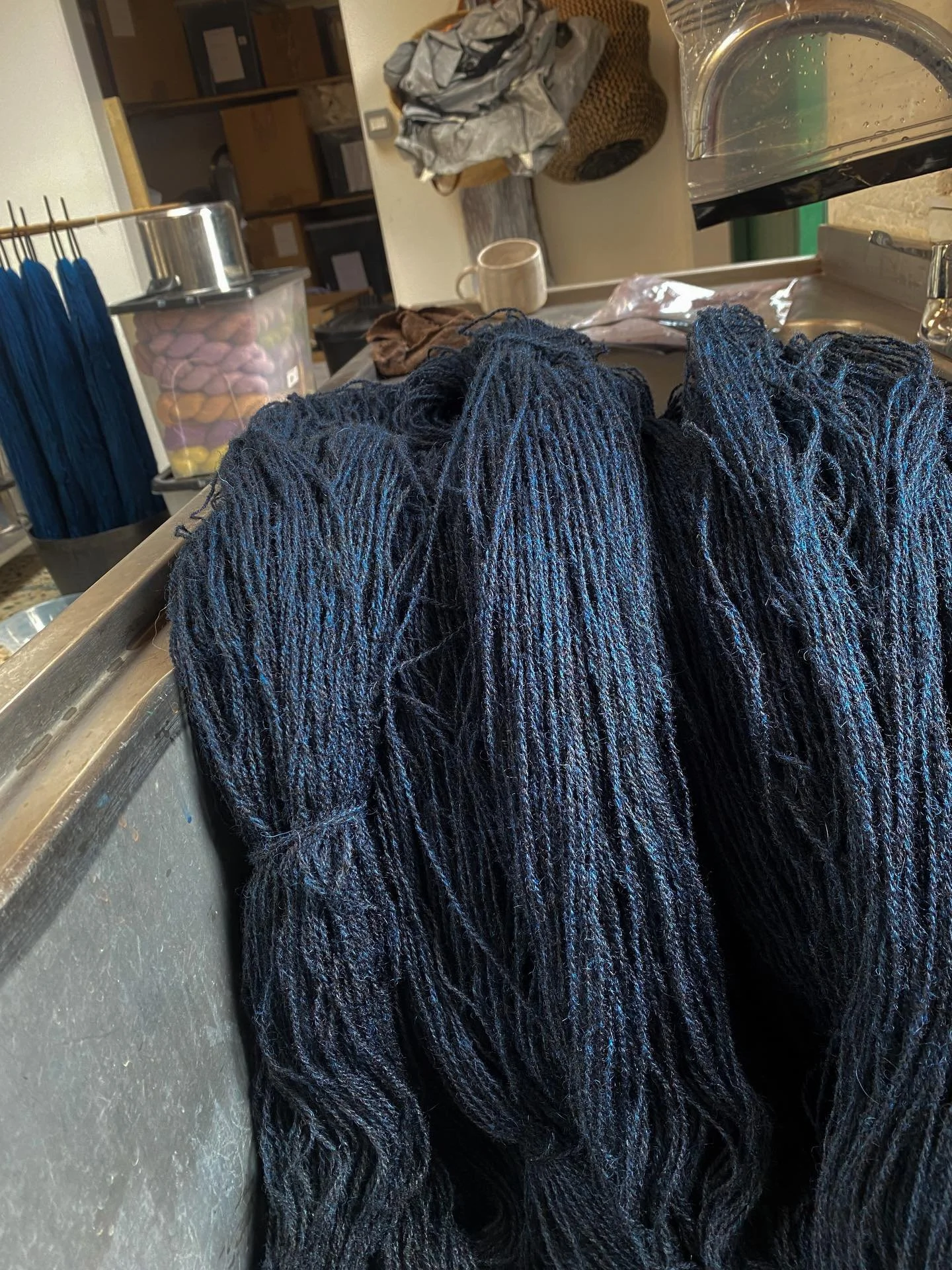 1. The most difficult colour to capture on camera, indigo on Dorset &amp; Blue Texel
2. Sowing seeds for dye plants
3. Rufus
4. Clara hem