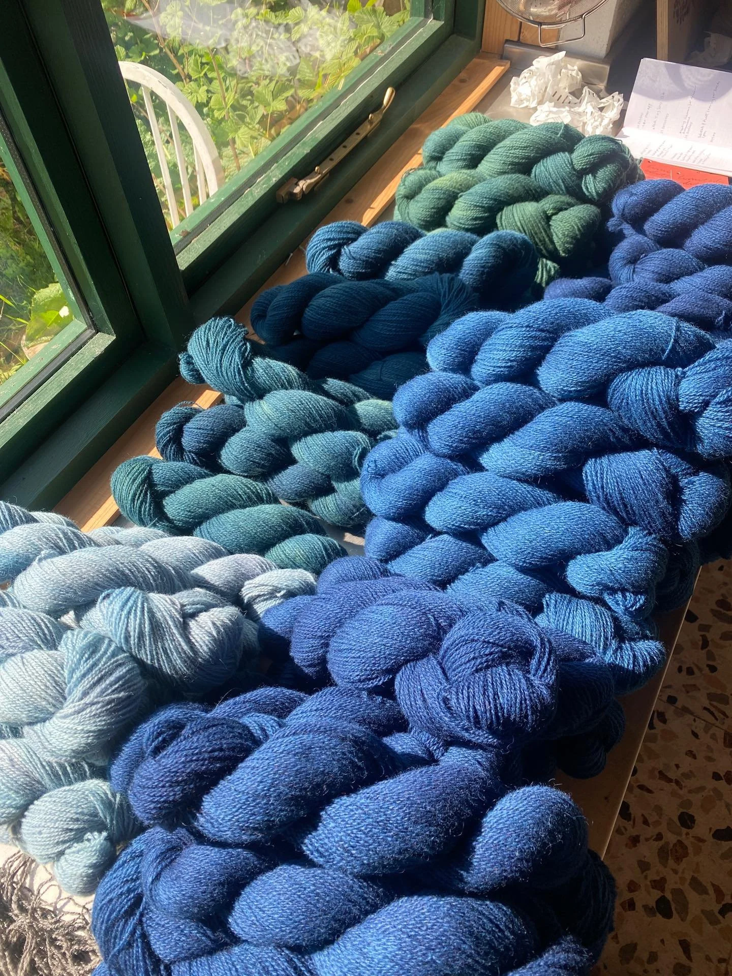 Indigo Blues
Pant nursery 
Indigo vat
Toms