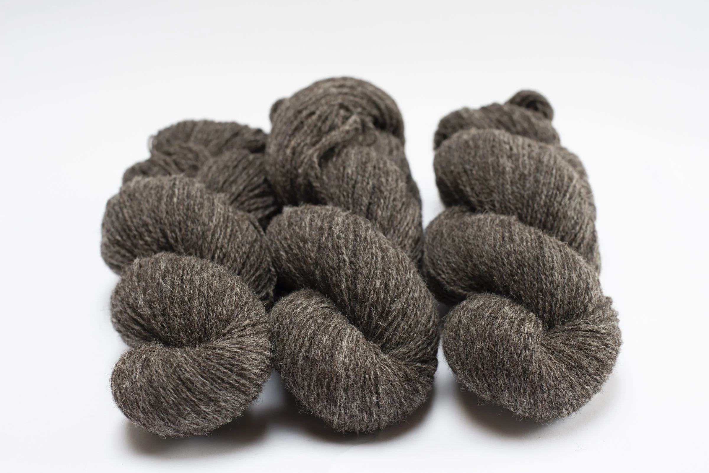 WMFC_APR update-42.jpg