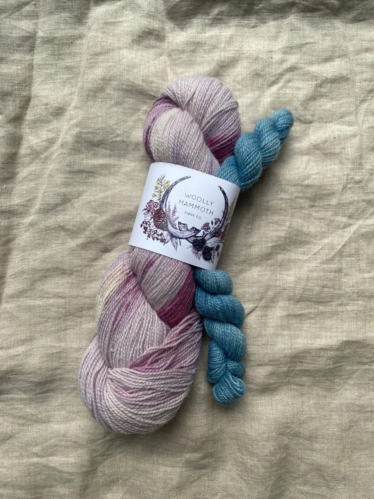 Natural Sock 4ply- Spring Forward Sock Set 120g/480m
