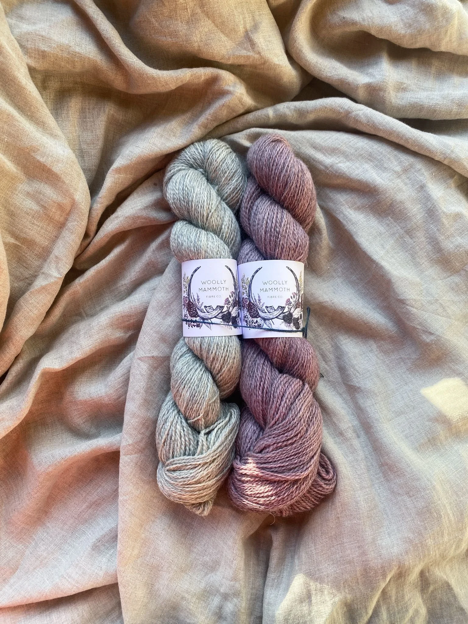 WhatsApp Image 2025-11-12 at 12.10.23 (1).jpeg