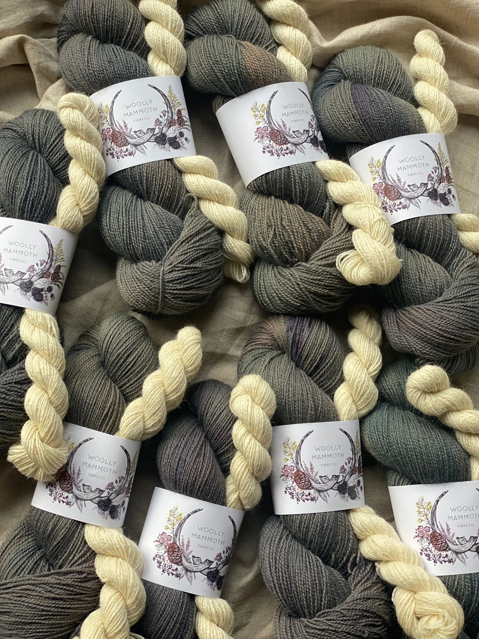 WhatsApp Image 2025-11-12 at 12.11.56.jpeg