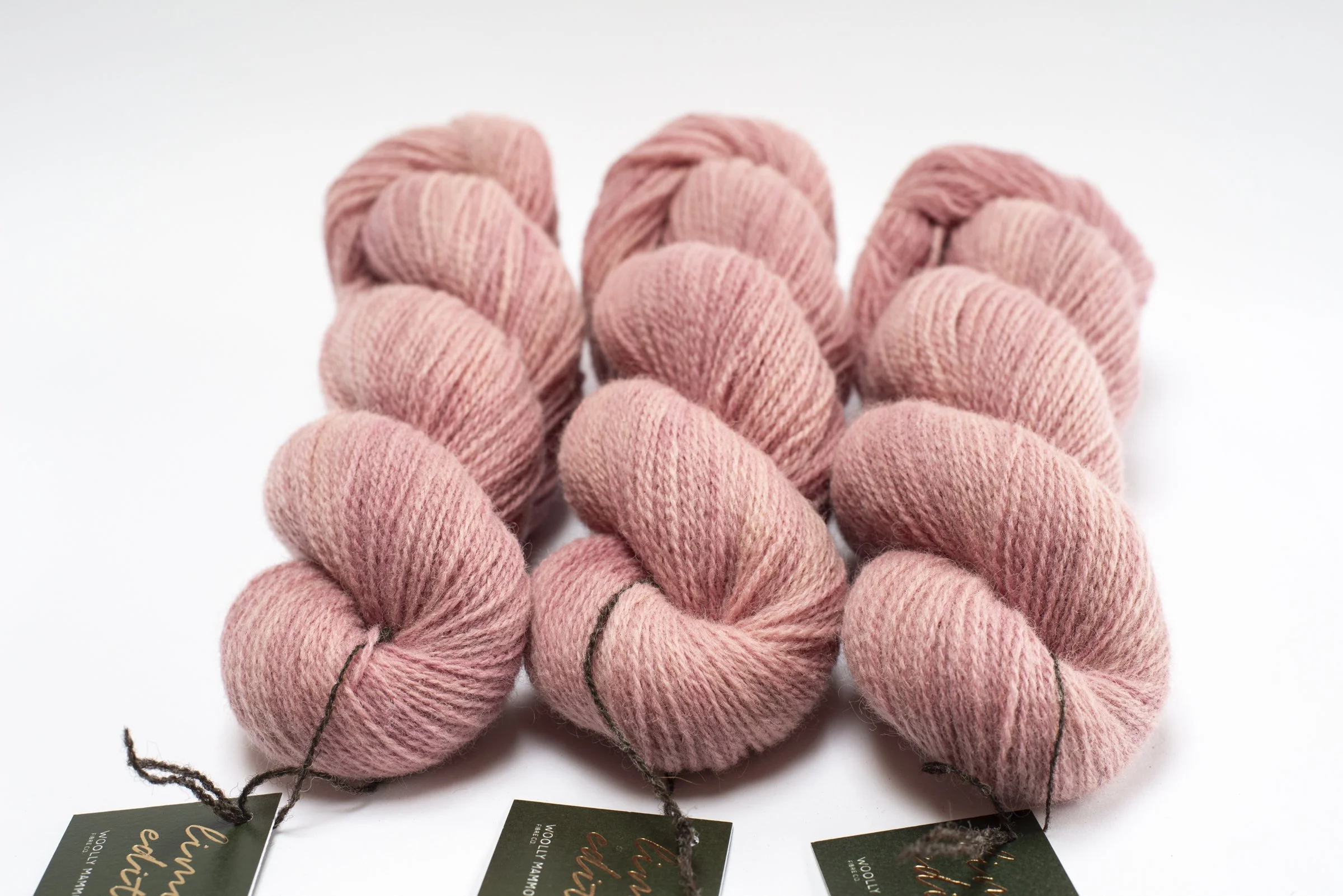 WMFC_APR update-4.jpg