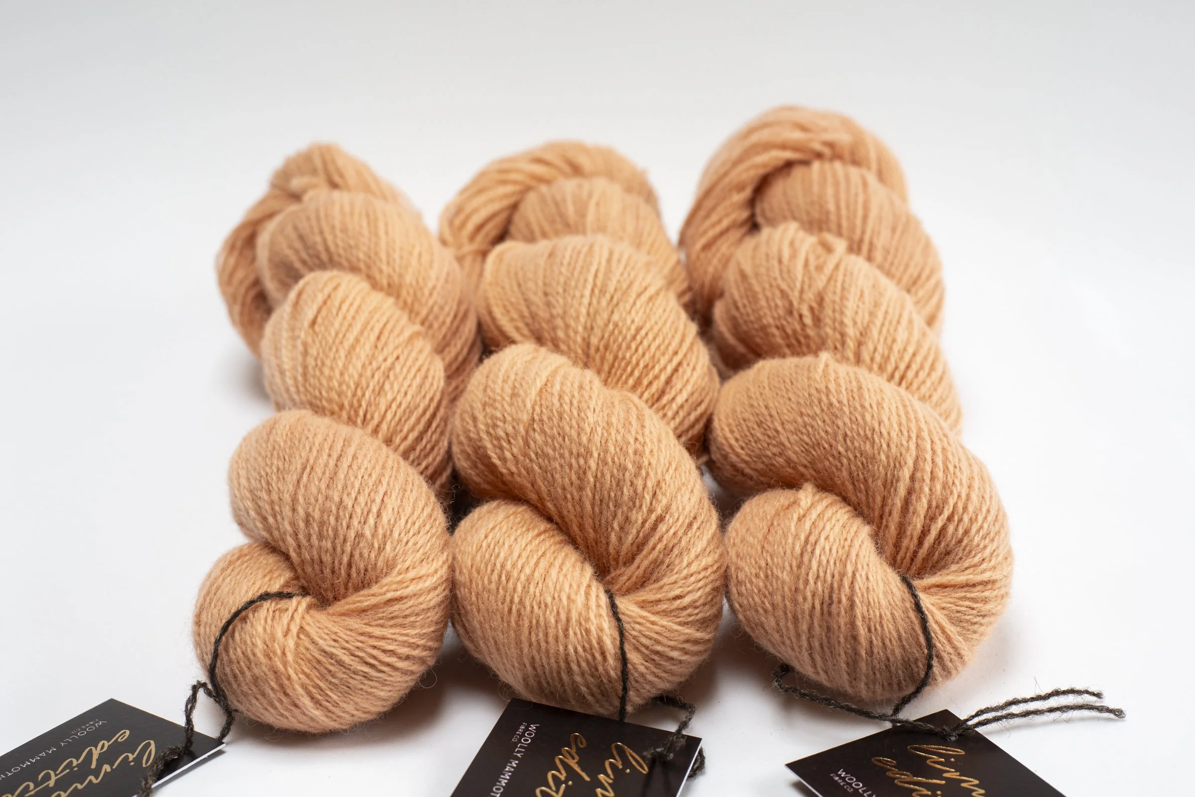 WMFC_APR update-3.jpg