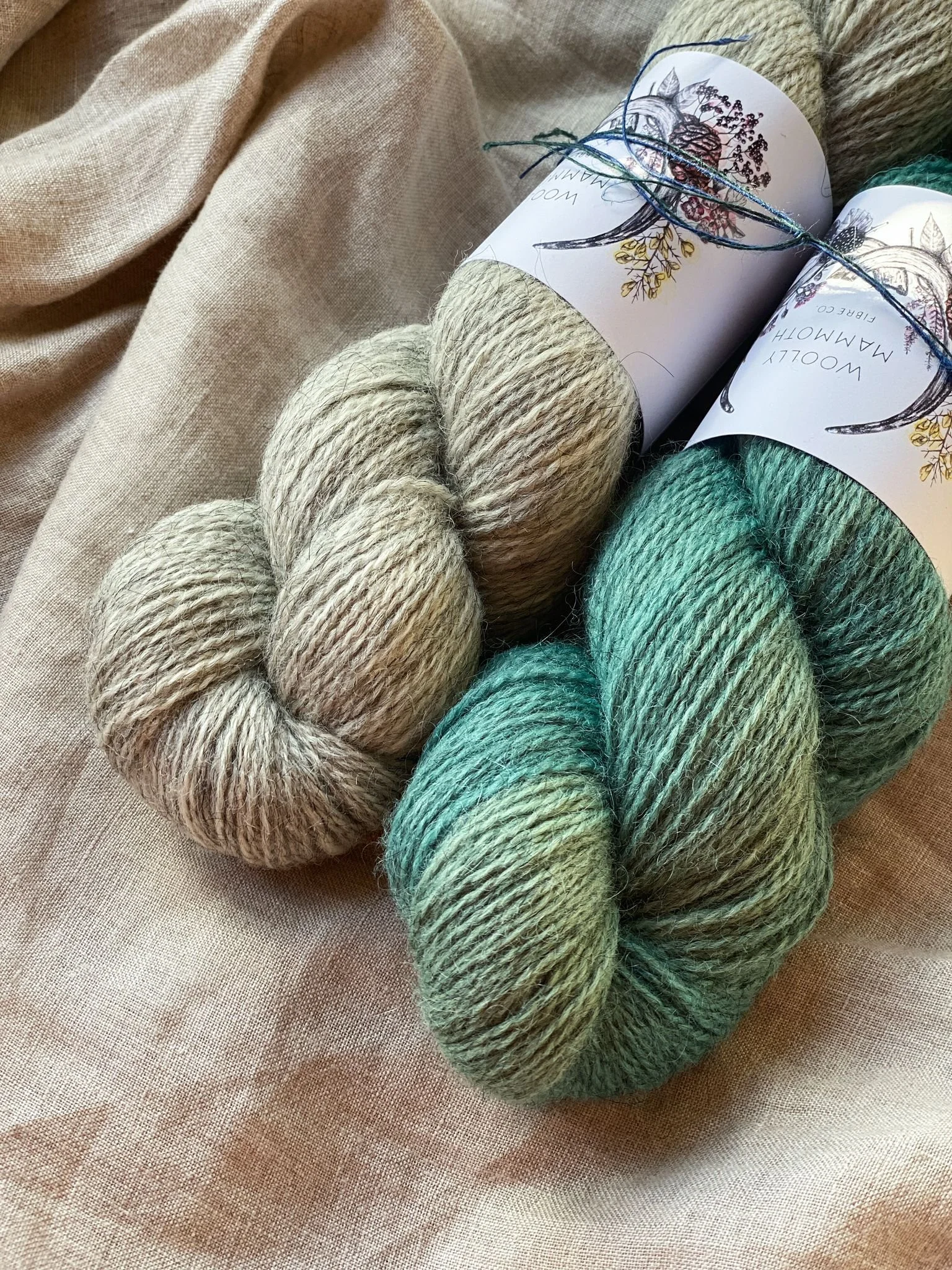 WhatsApp Image 2025-11-12 at 12.10.23 (3).jpeg