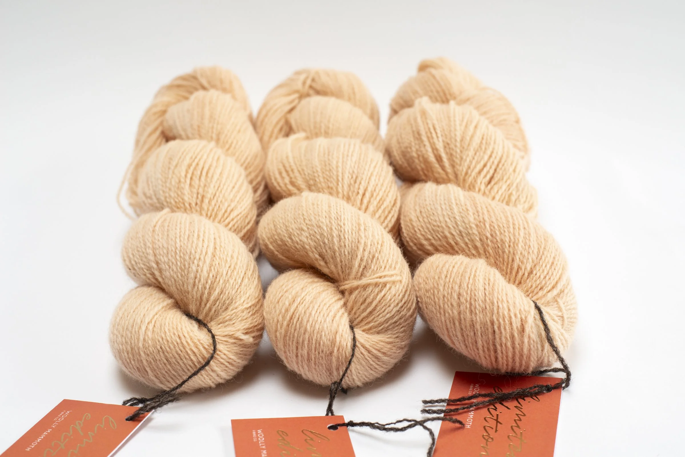 WMFC_APR update-1.jpg