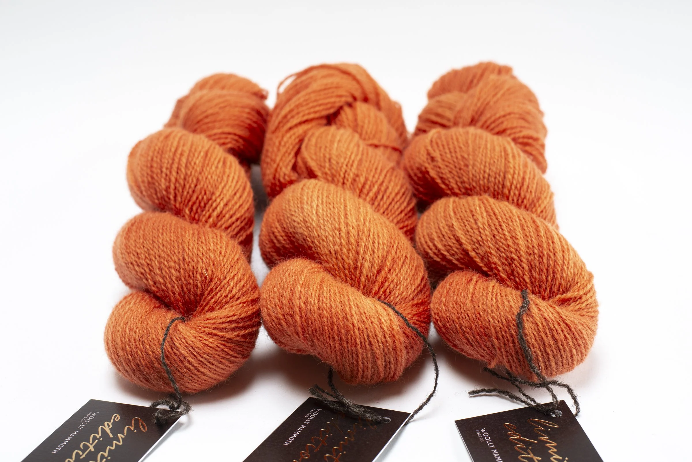 WMFC_APR update-6.jpg