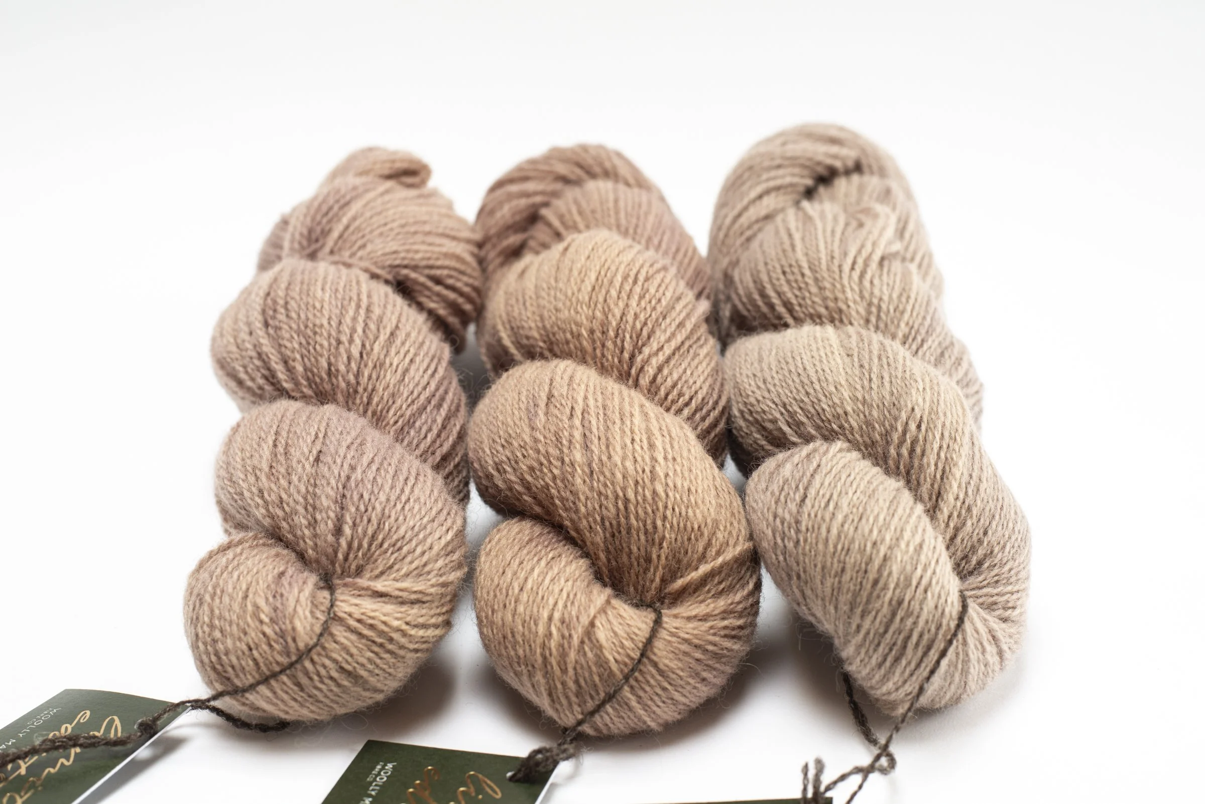 WMFC_APR update-34.jpg