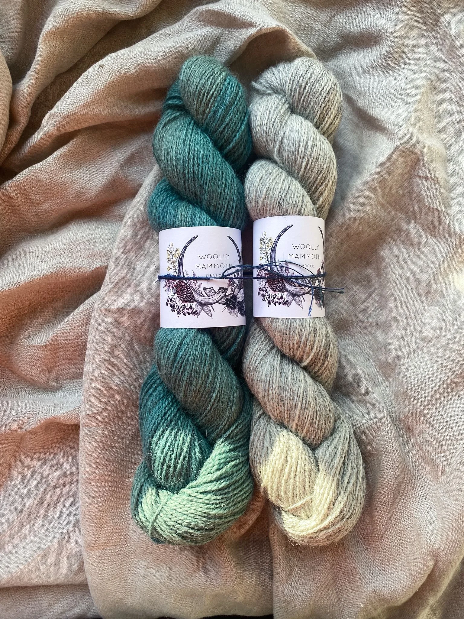 WhatsApp Image 2025-11-12 at 12.10.23.jpeg