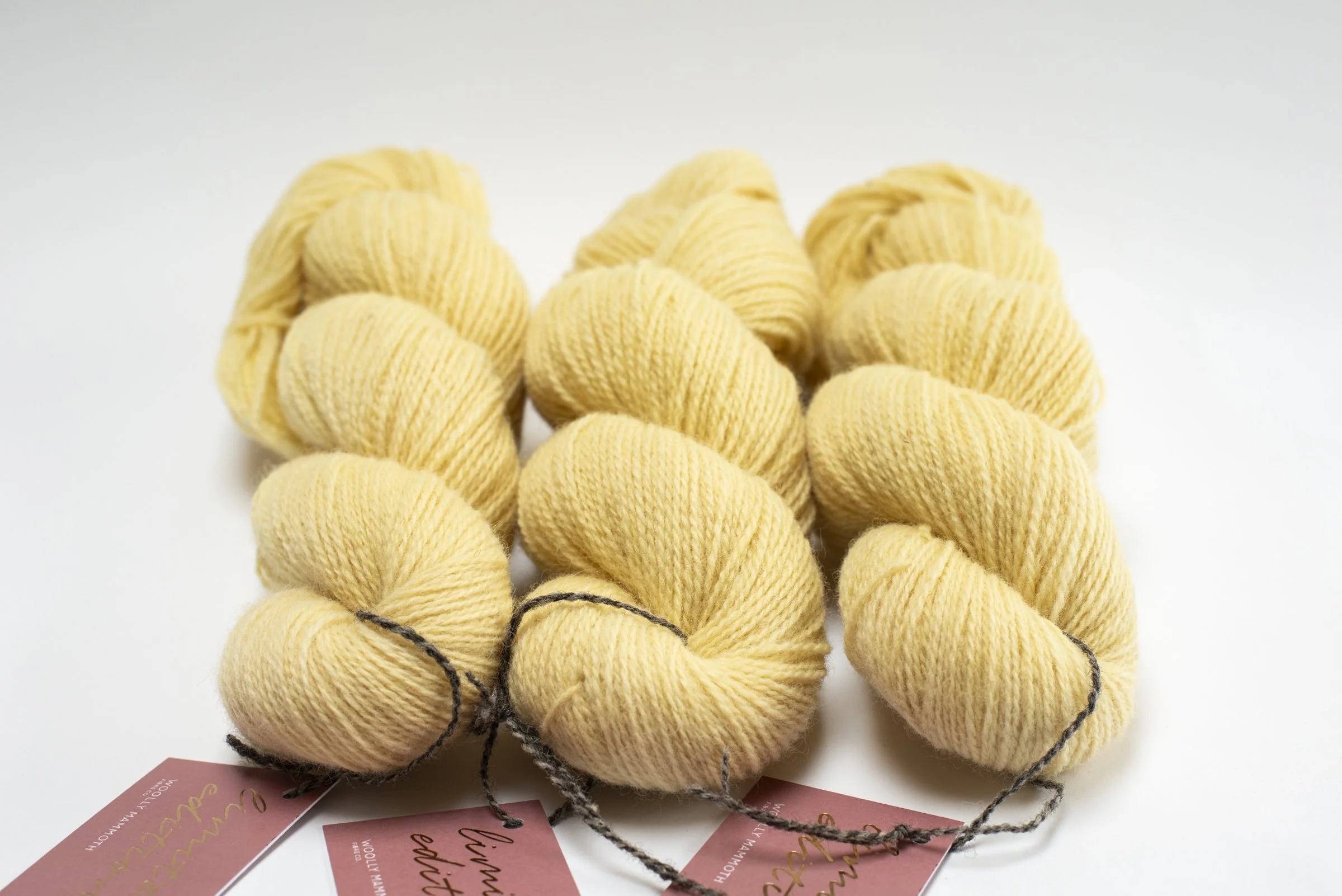 Causeway Yarn 4ply- Clotted Cream #2