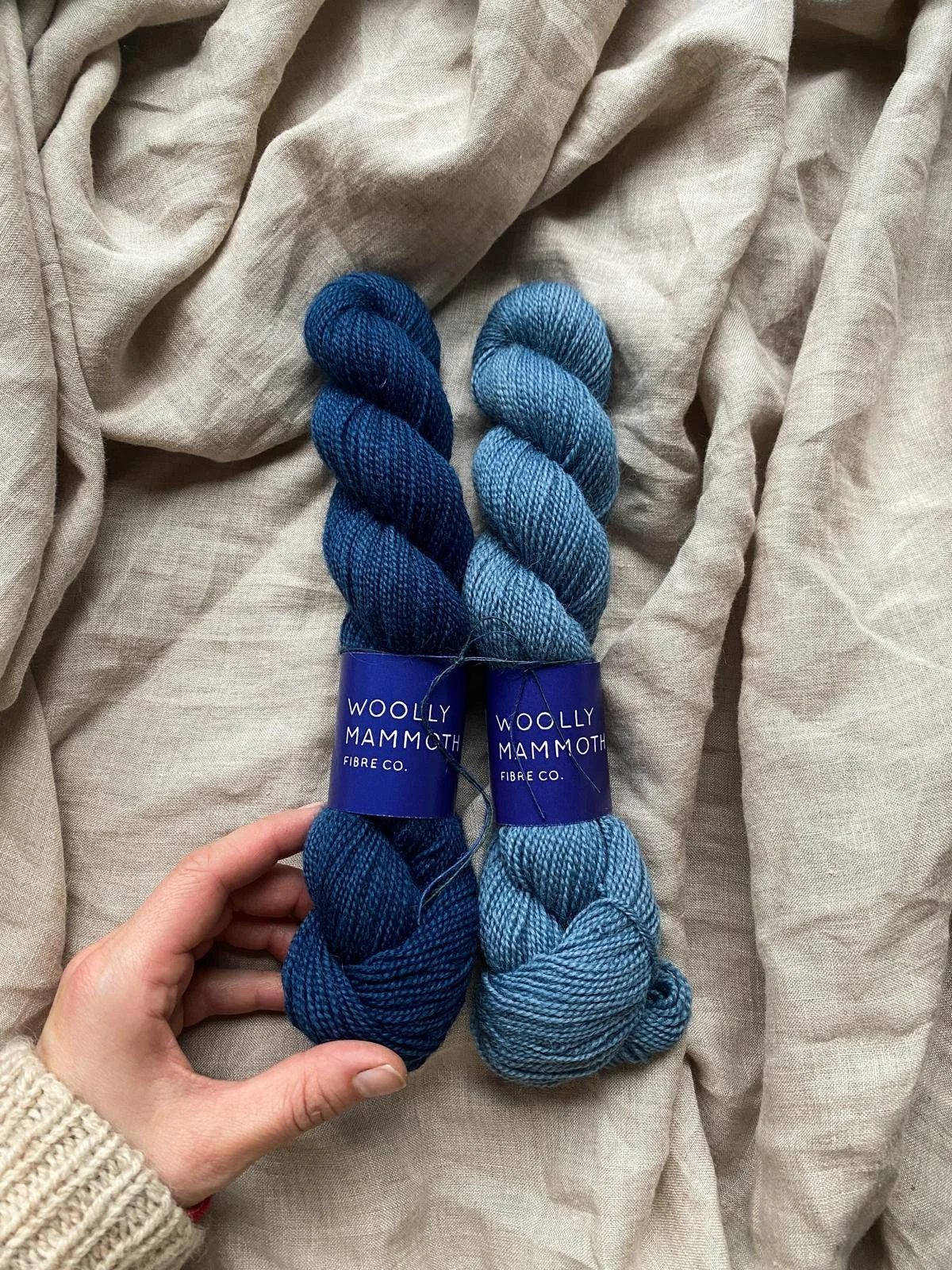 WhatsApp Image 2025-11-13 at 12.46.35 (3).jpeg