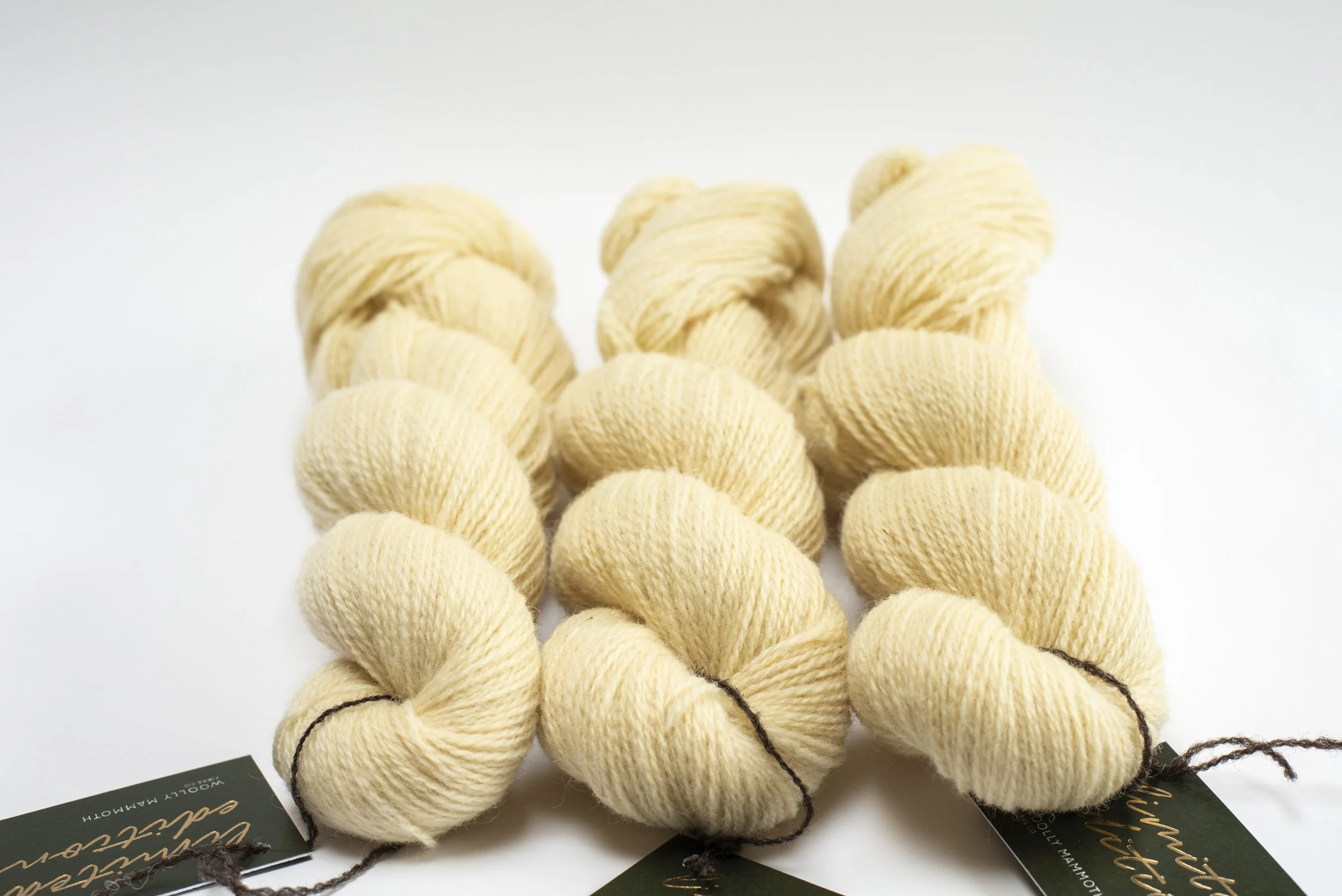 WMFC_APR update-35.jpg