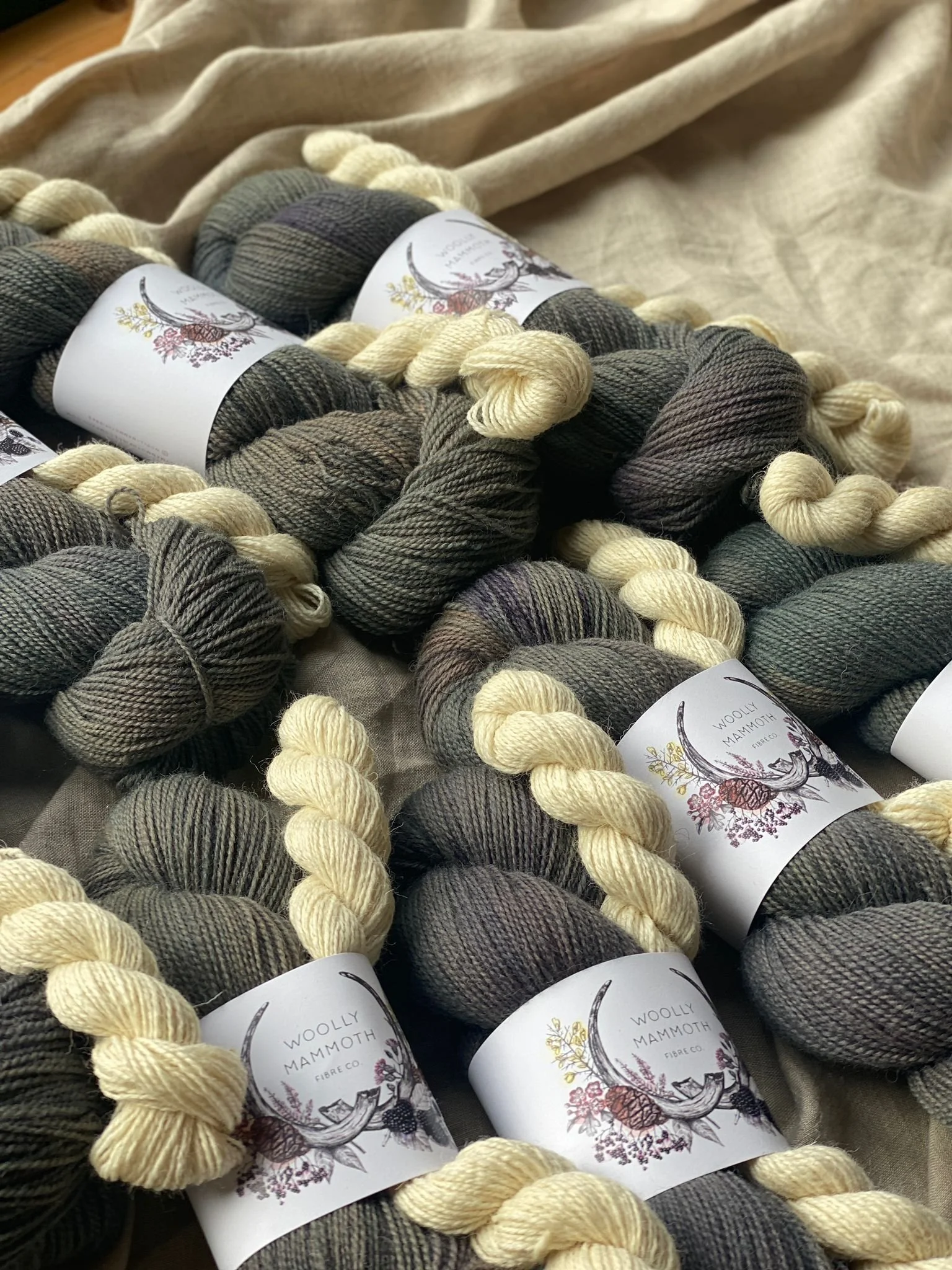 WhatsApp Image 2025-11-12 at 12.11.56 (1).jpeg