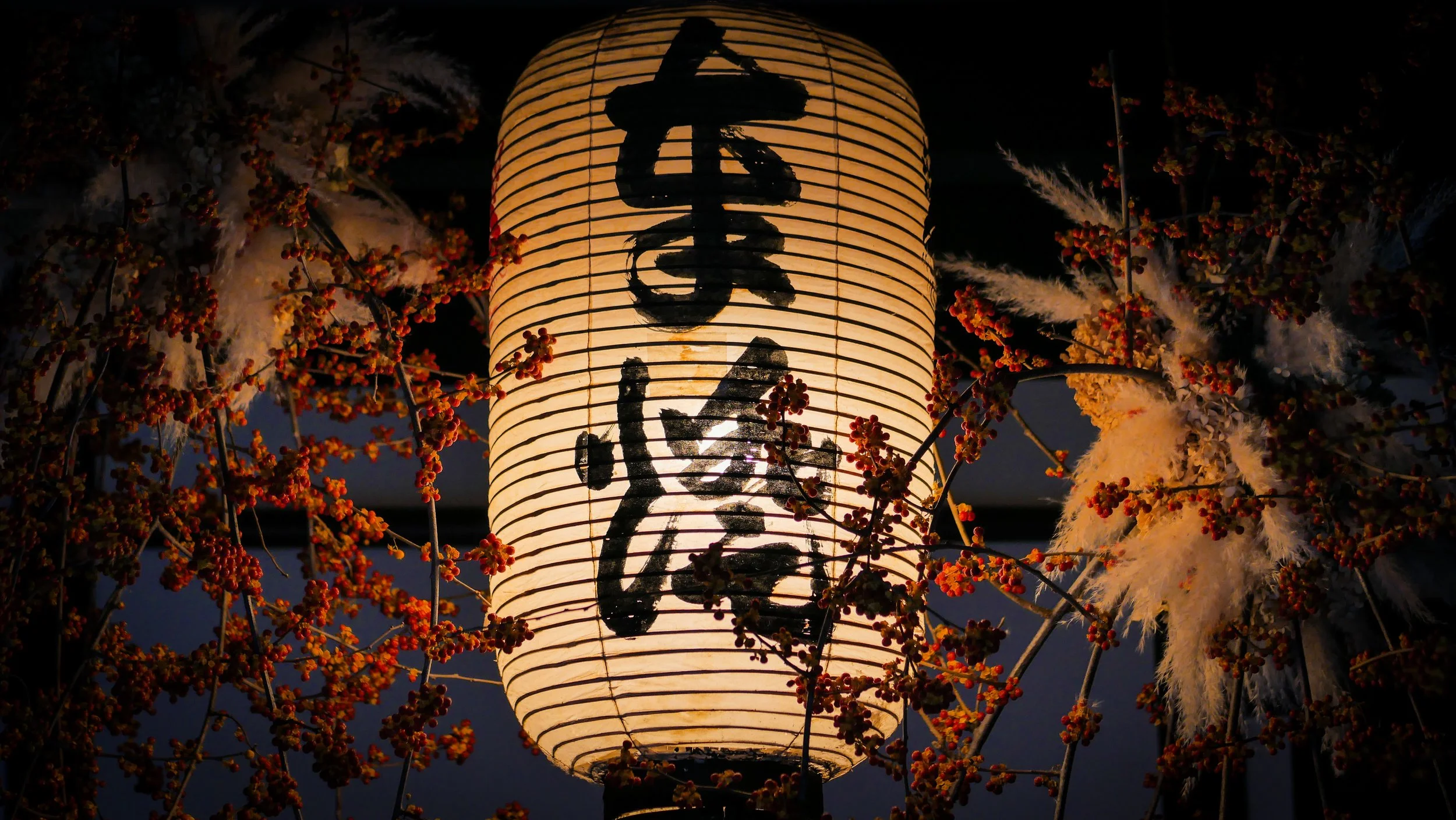 exterior_3.JPG