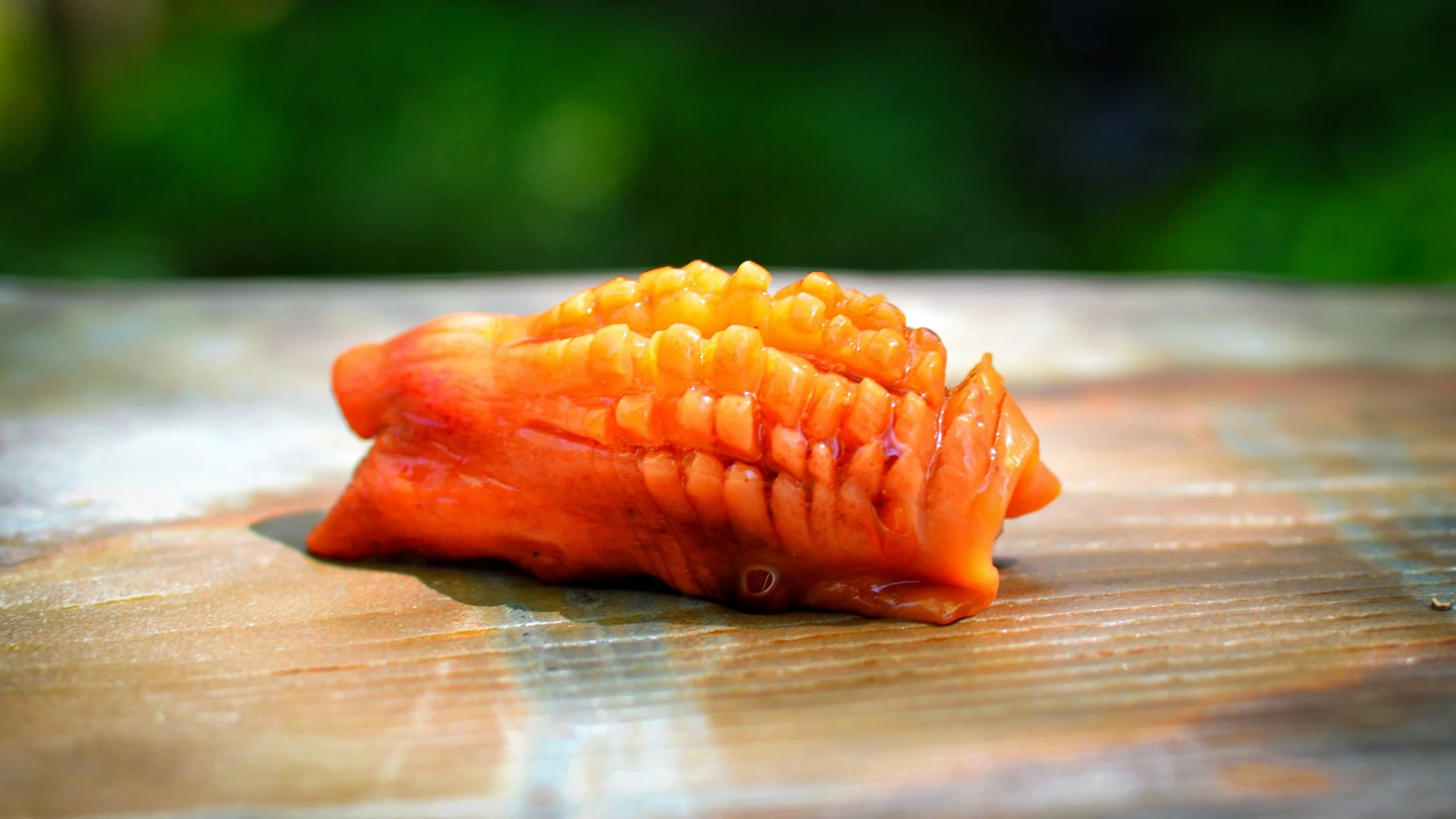 sushi_赤貝.JPG