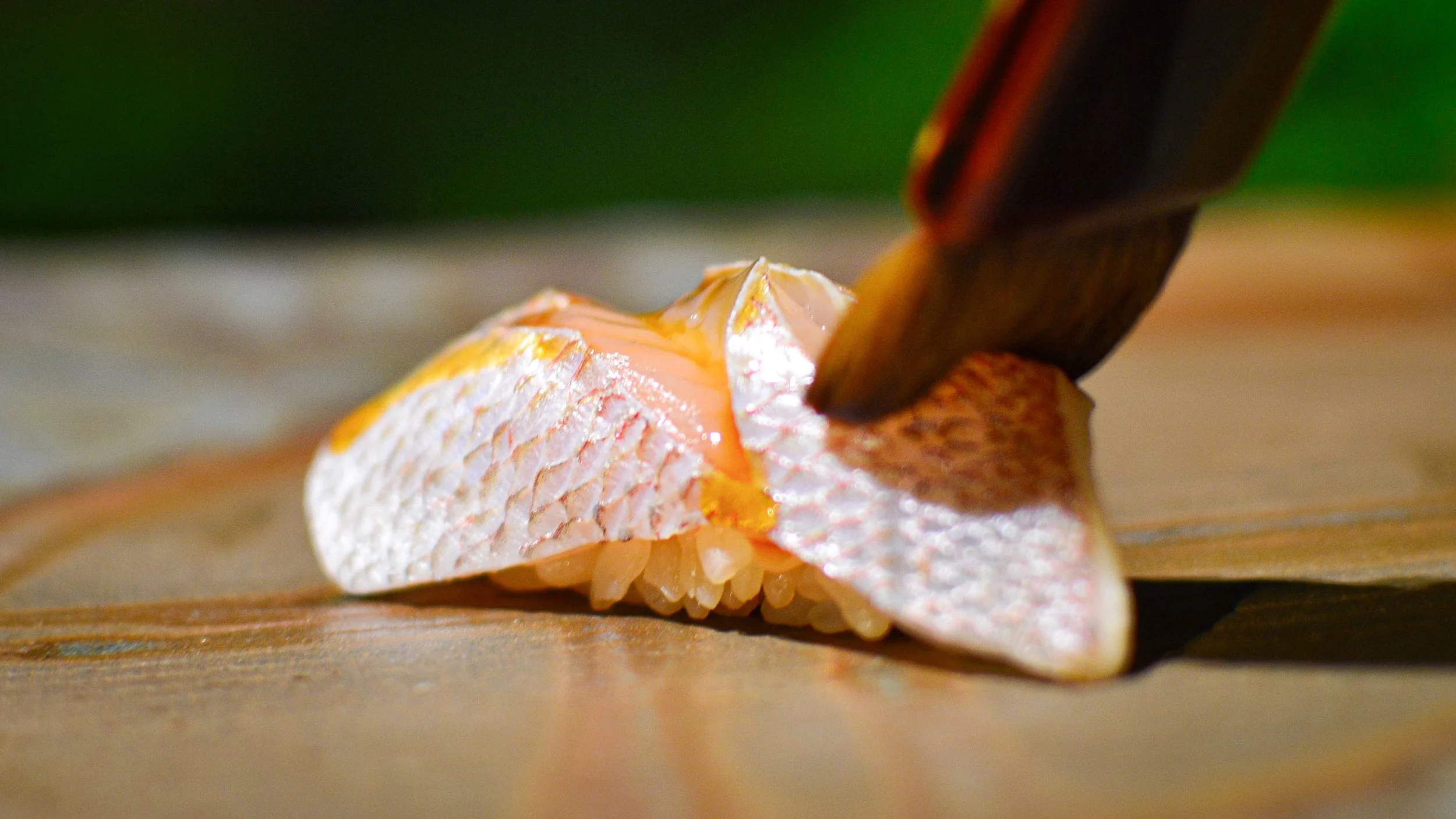 sushi_春子.JPG