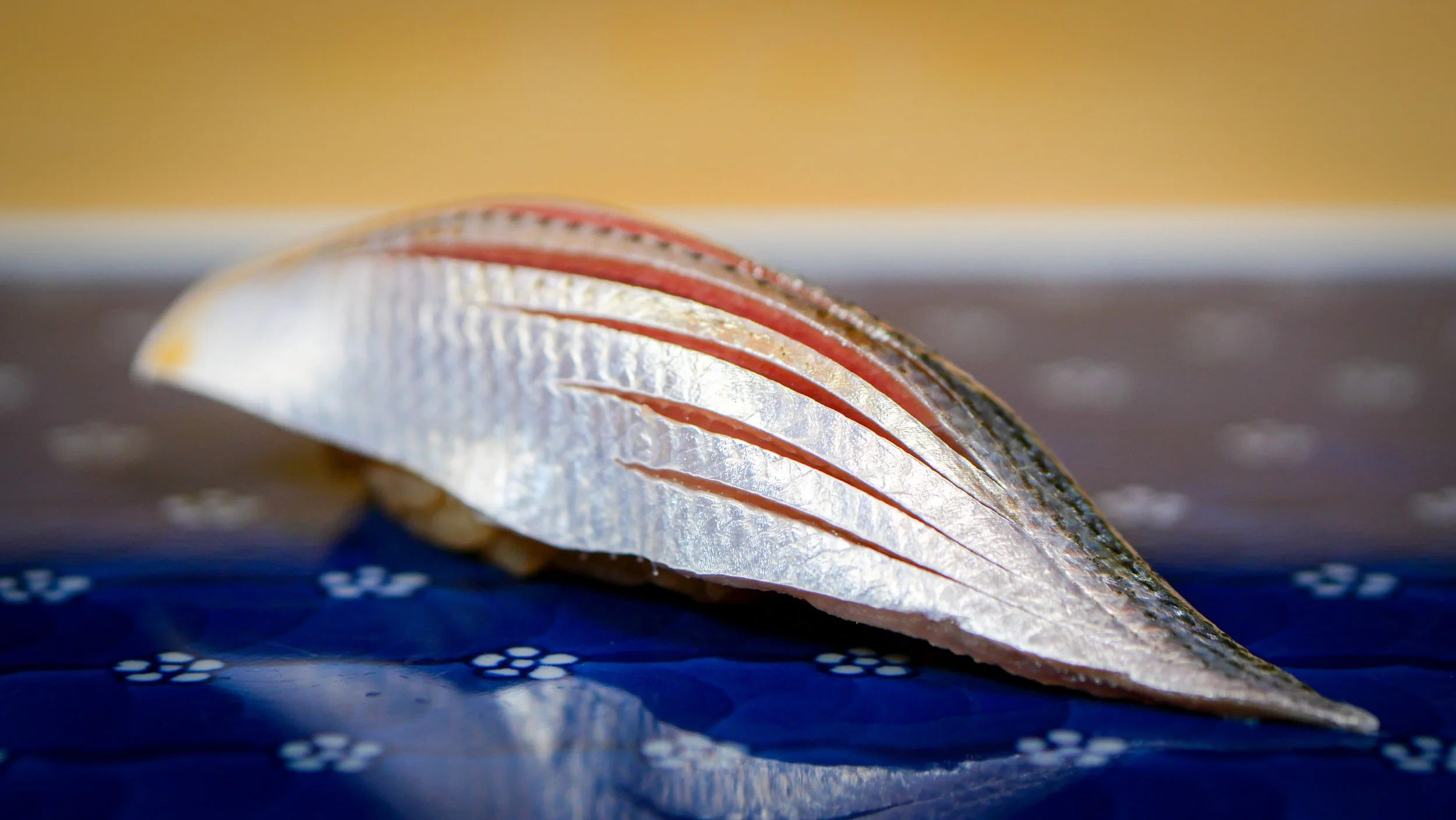 sushi_小鰭_2.JPG