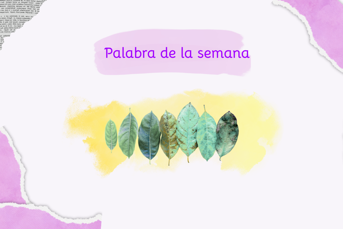 Cambio