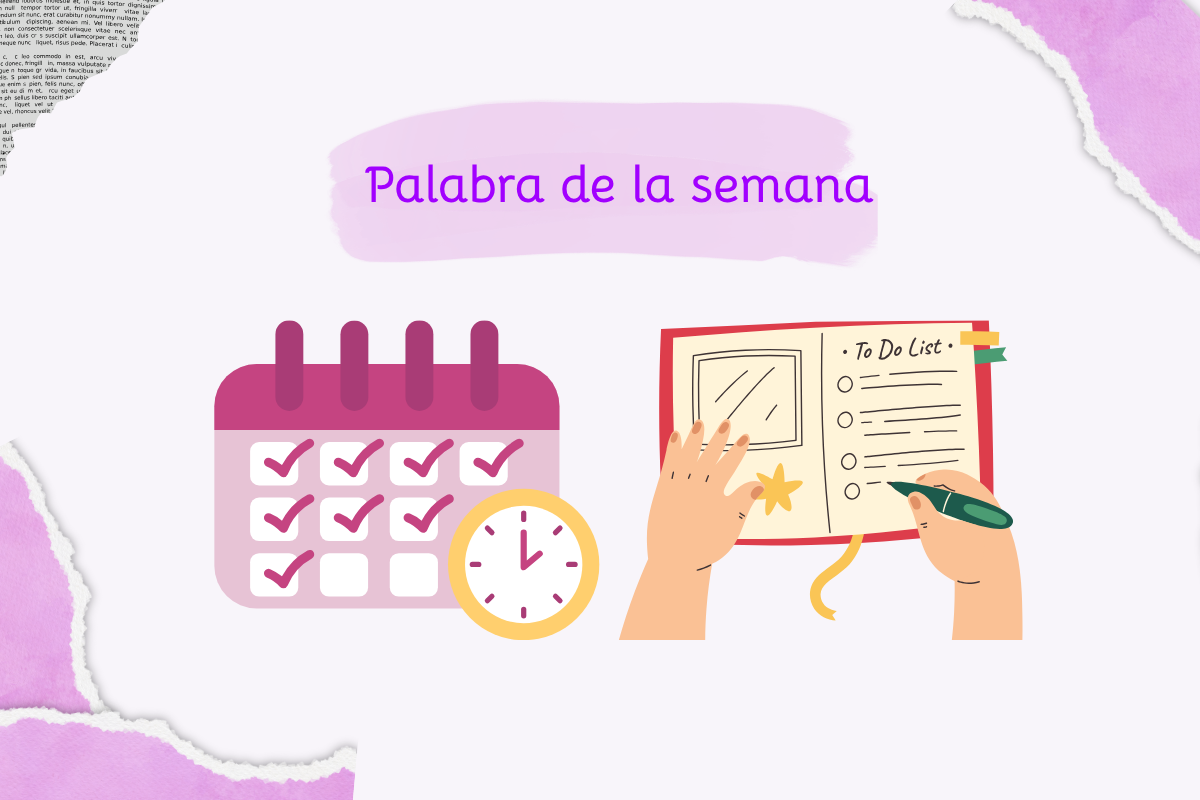 Organización